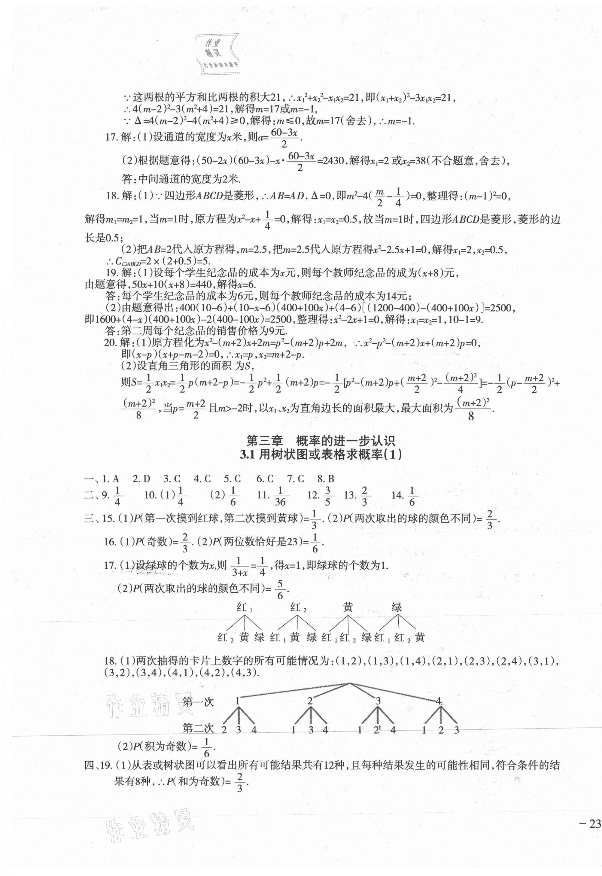 2020年樹人練案九年級數(shù)學(xué)全一冊北師大版 第13頁