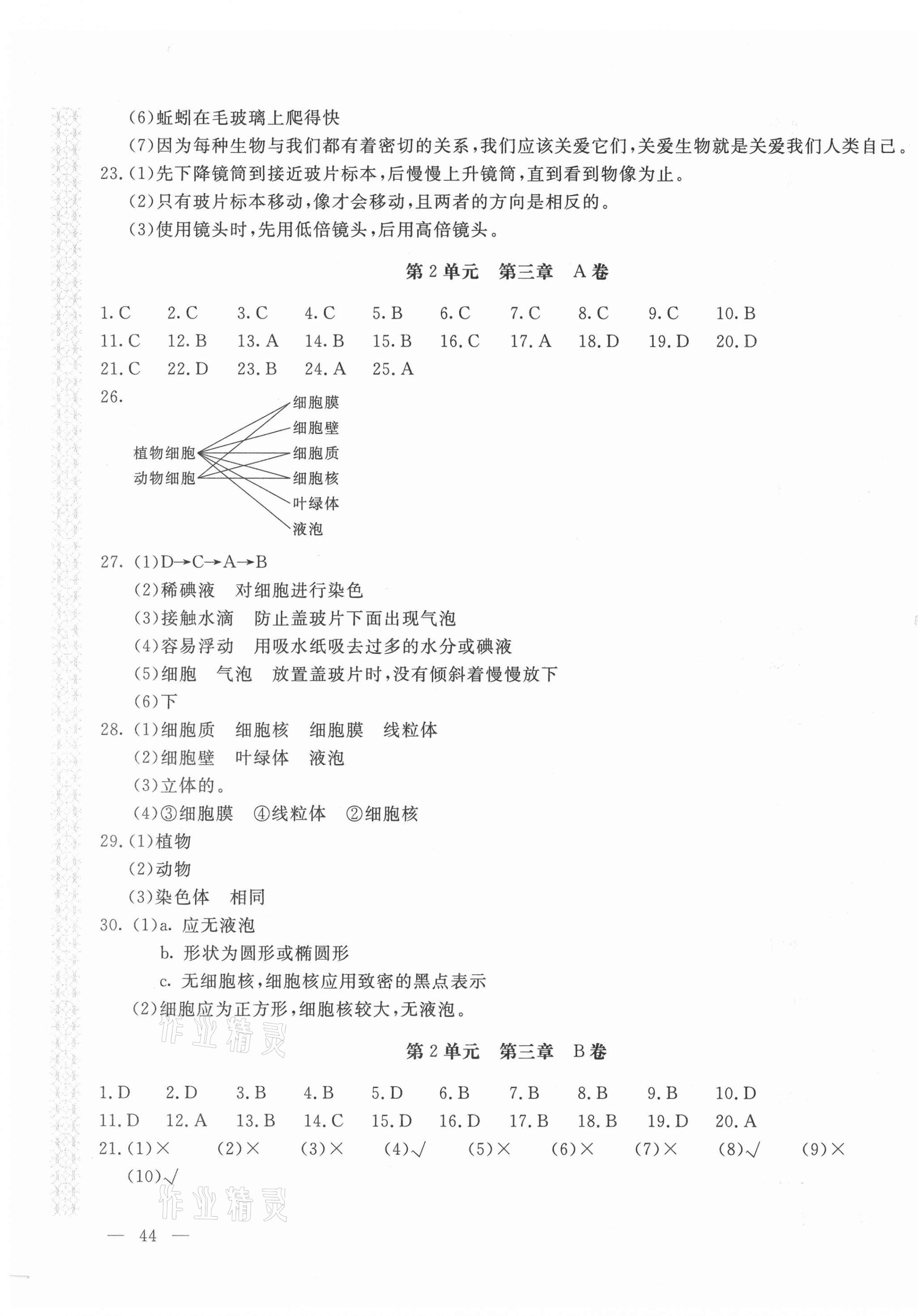 2020年新課堂AB卷單元測試七年級生物學上冊江蘇版 第3頁