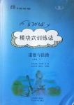 2021年模塊式訓練法九年級道德與法治下冊人教版