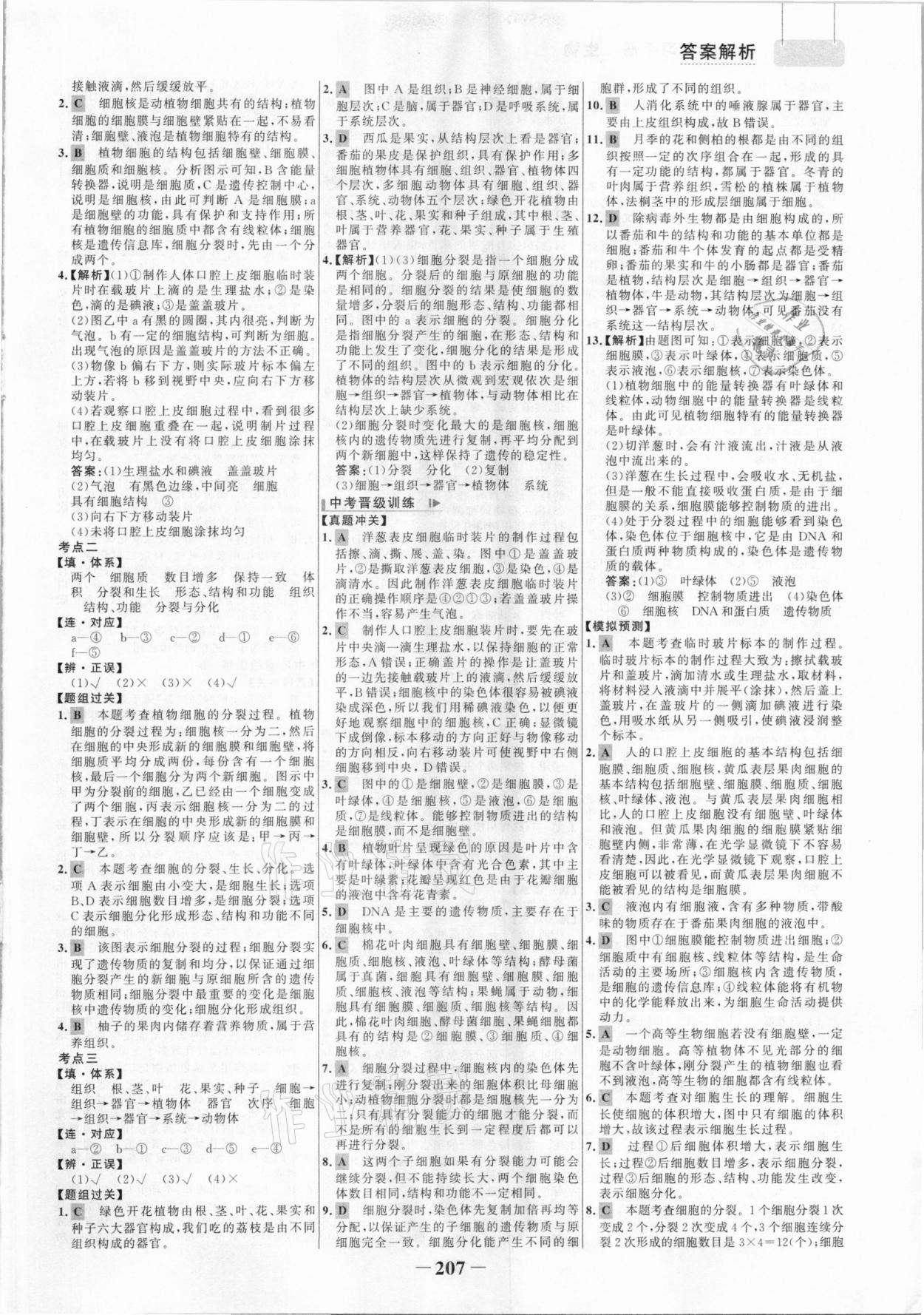 2021年初中總復(fù)習(xí)手冊(cè)生物山東畫報(bào)出版社 參考答案第2頁