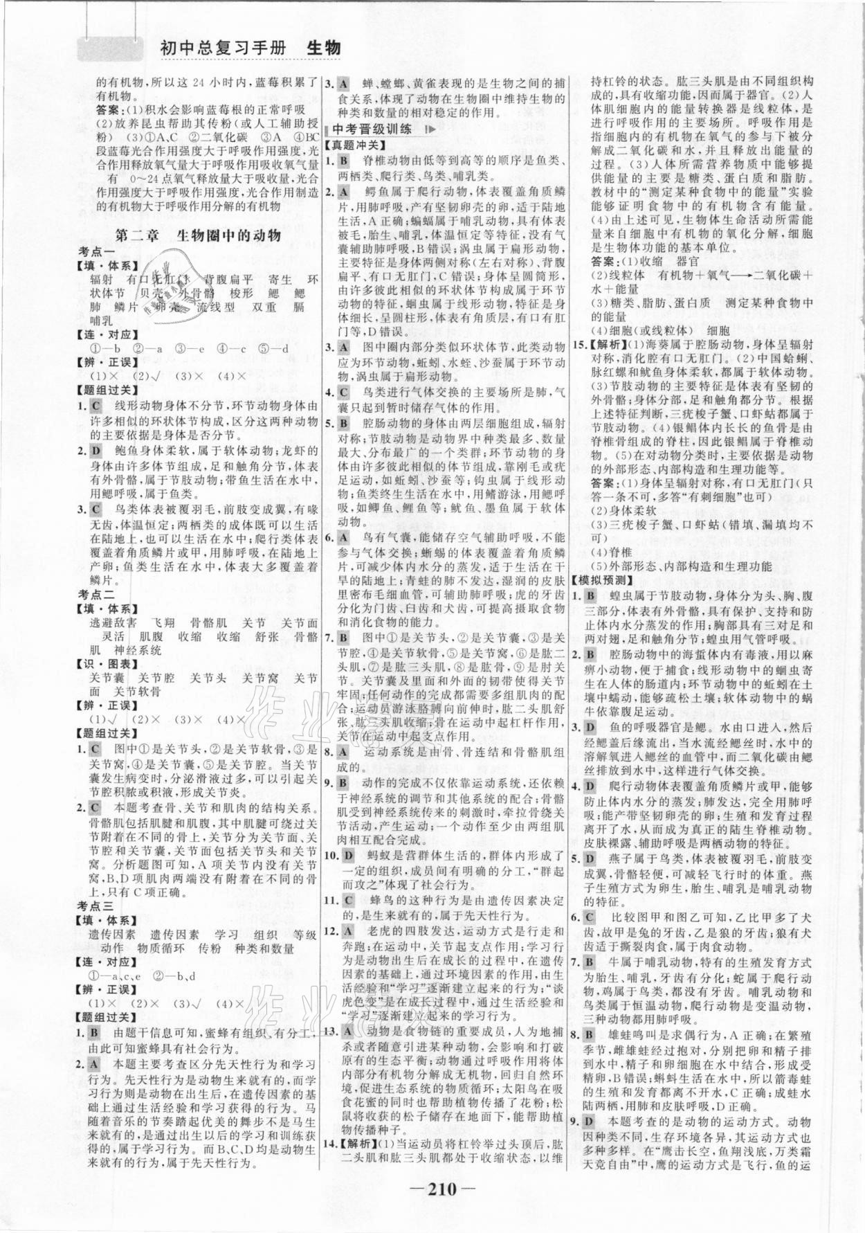 2021年初中總復(fù)習(xí)手冊生物山東畫報(bào)出版社 參考答案第5頁