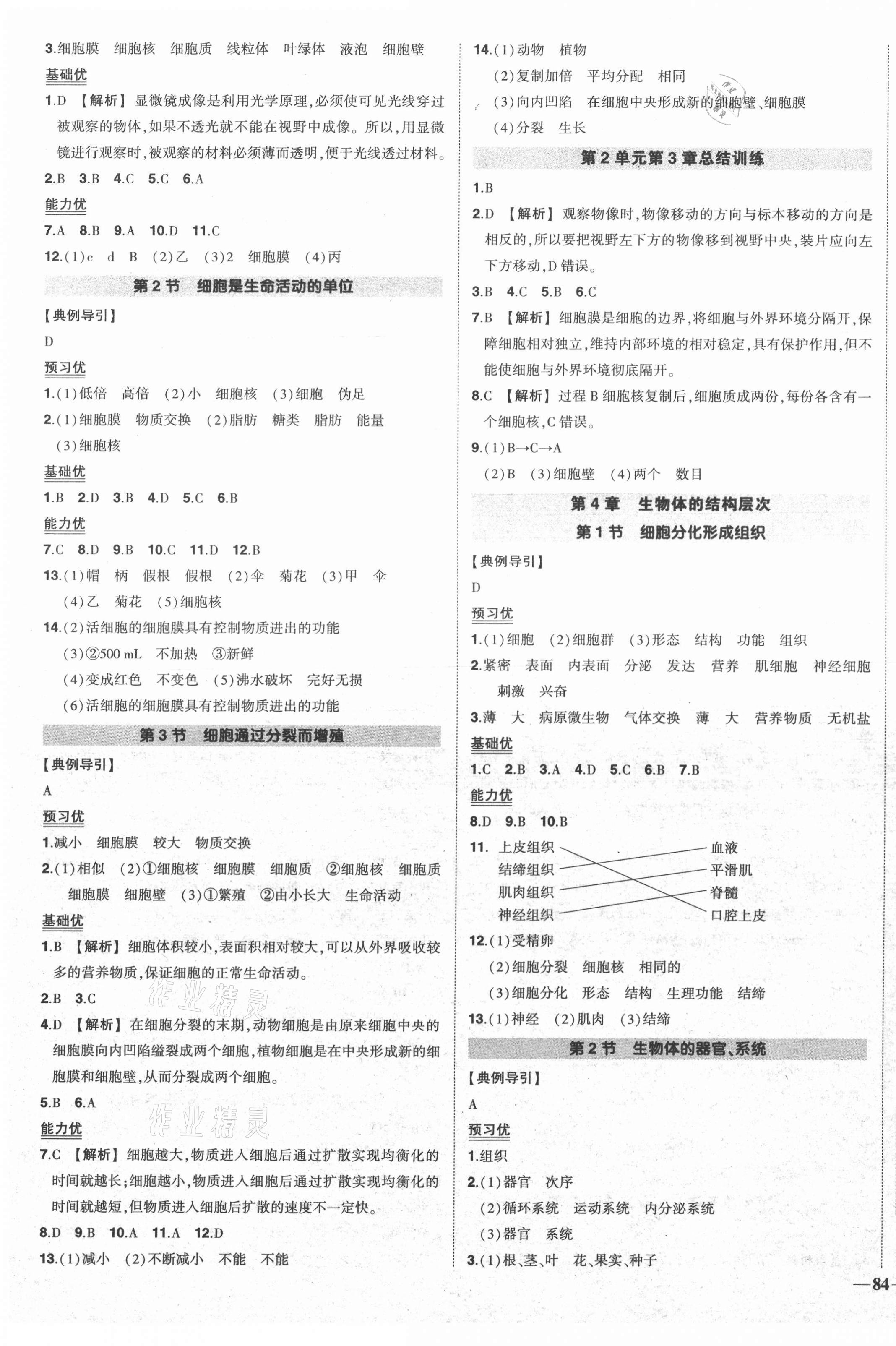 2020年?duì)钤刹怕穭?chuàng)優(yōu)作業(yè)七年級(jí)生物上冊(cè)北師大版 第3頁(yè)