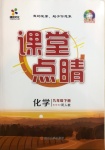 2021年課堂點(diǎn)睛九年級(jí)化學(xué)下冊(cè)人教版