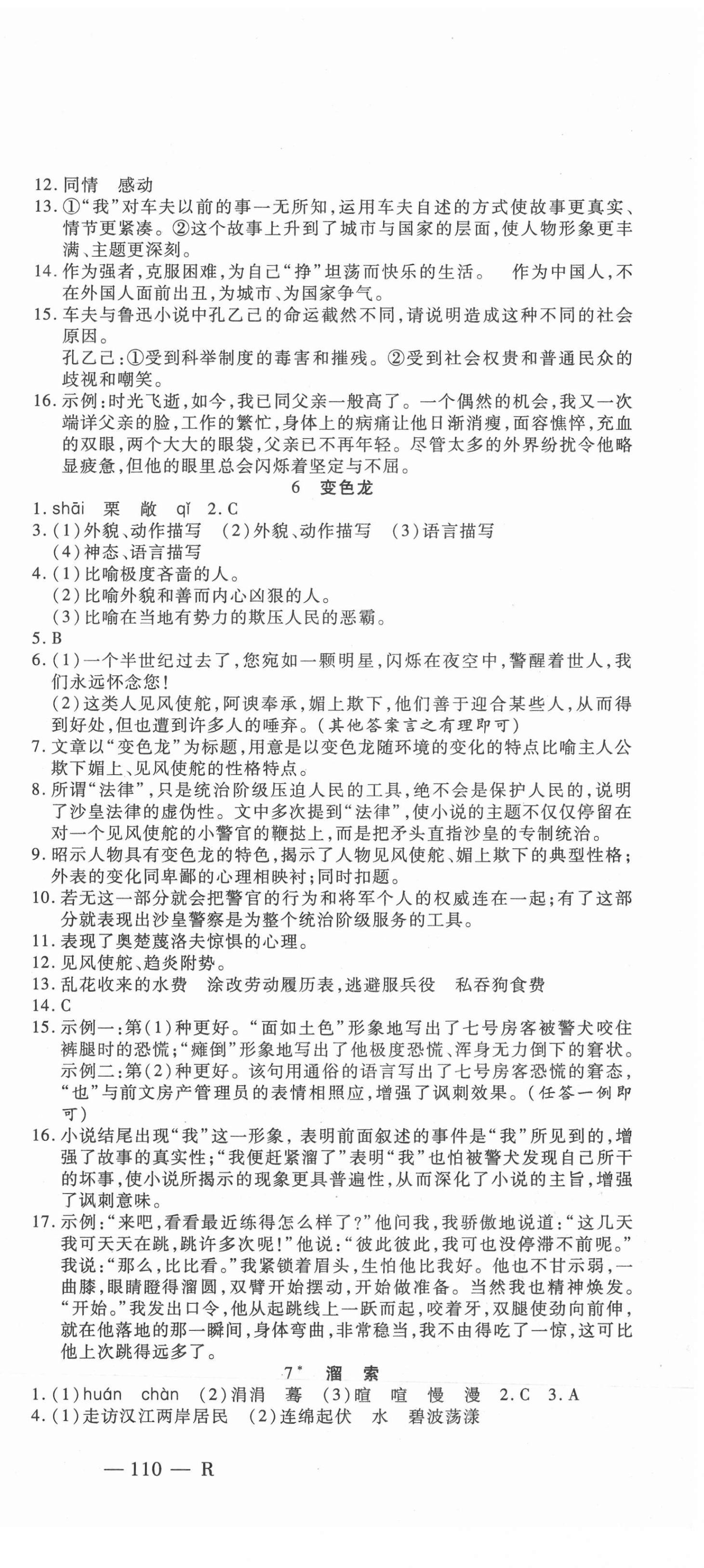 2021年酷特文化領(lǐng)航課堂九年級(jí)語文下冊(cè)人教版 第3頁