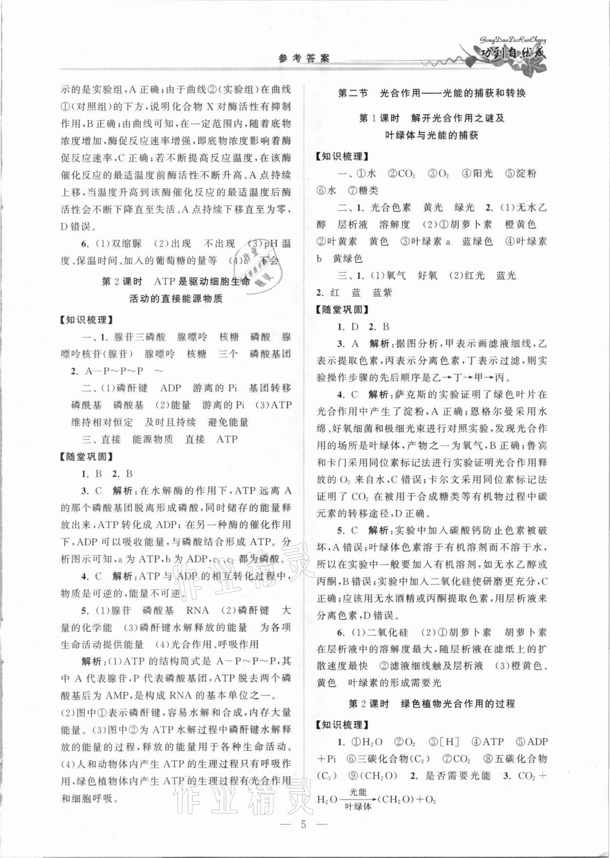 2020年功到自然成課時(shí)導(dǎo)學(xué)案高中生物必修1蘇教版 第5頁