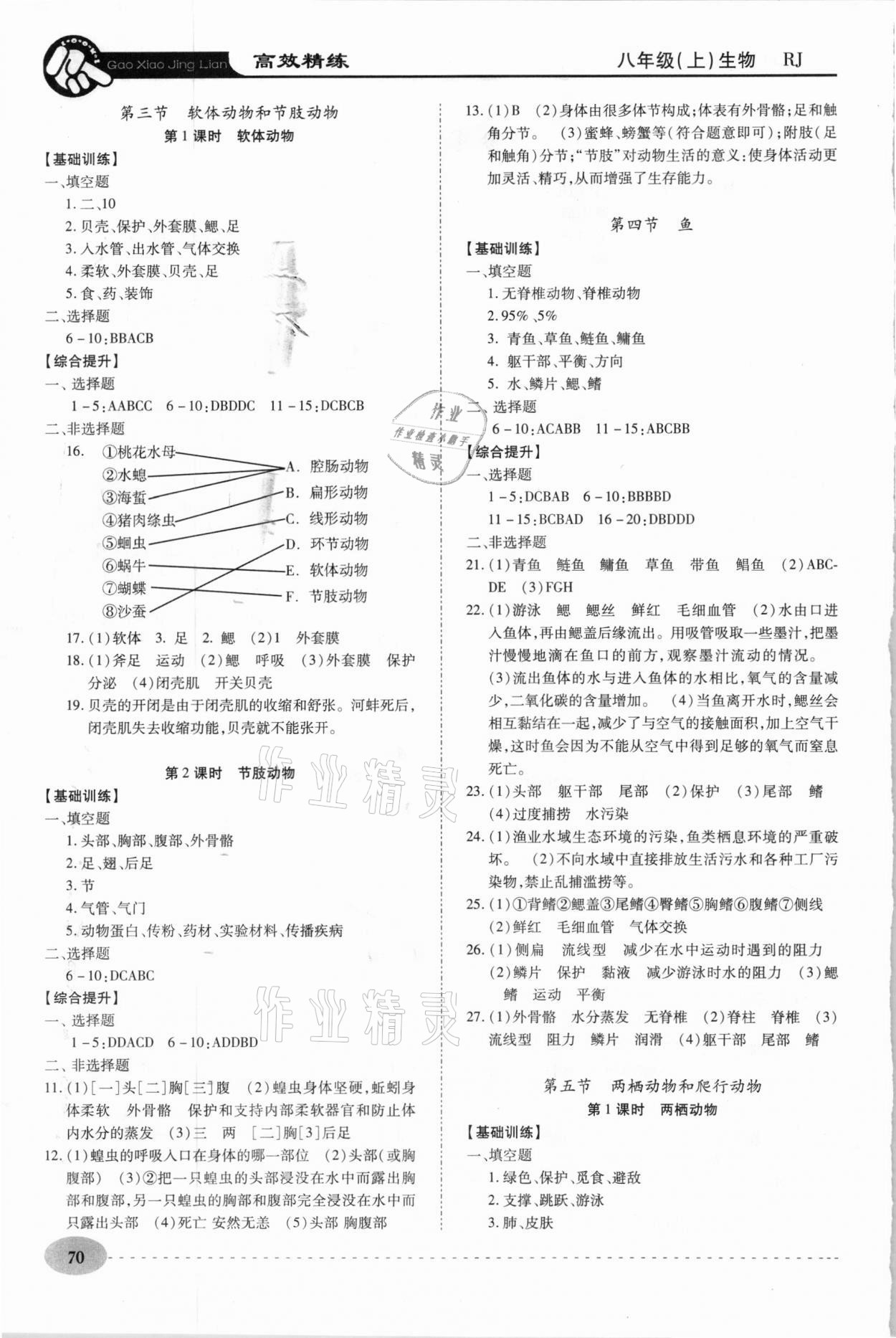 2020年高效精练八年级生物上册人教版 第2页