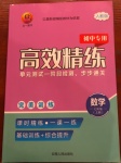 2020年高效精練七年級(jí)數(shù)學(xué)上冊(cè)人教版