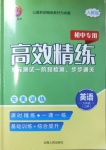 2020年高效精練九年級(jí)英語上冊人教版