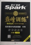 2021年星火英語(yǔ)Spark巔峰訓(xùn)練完形填空與閱讀理解中考江蘇專用