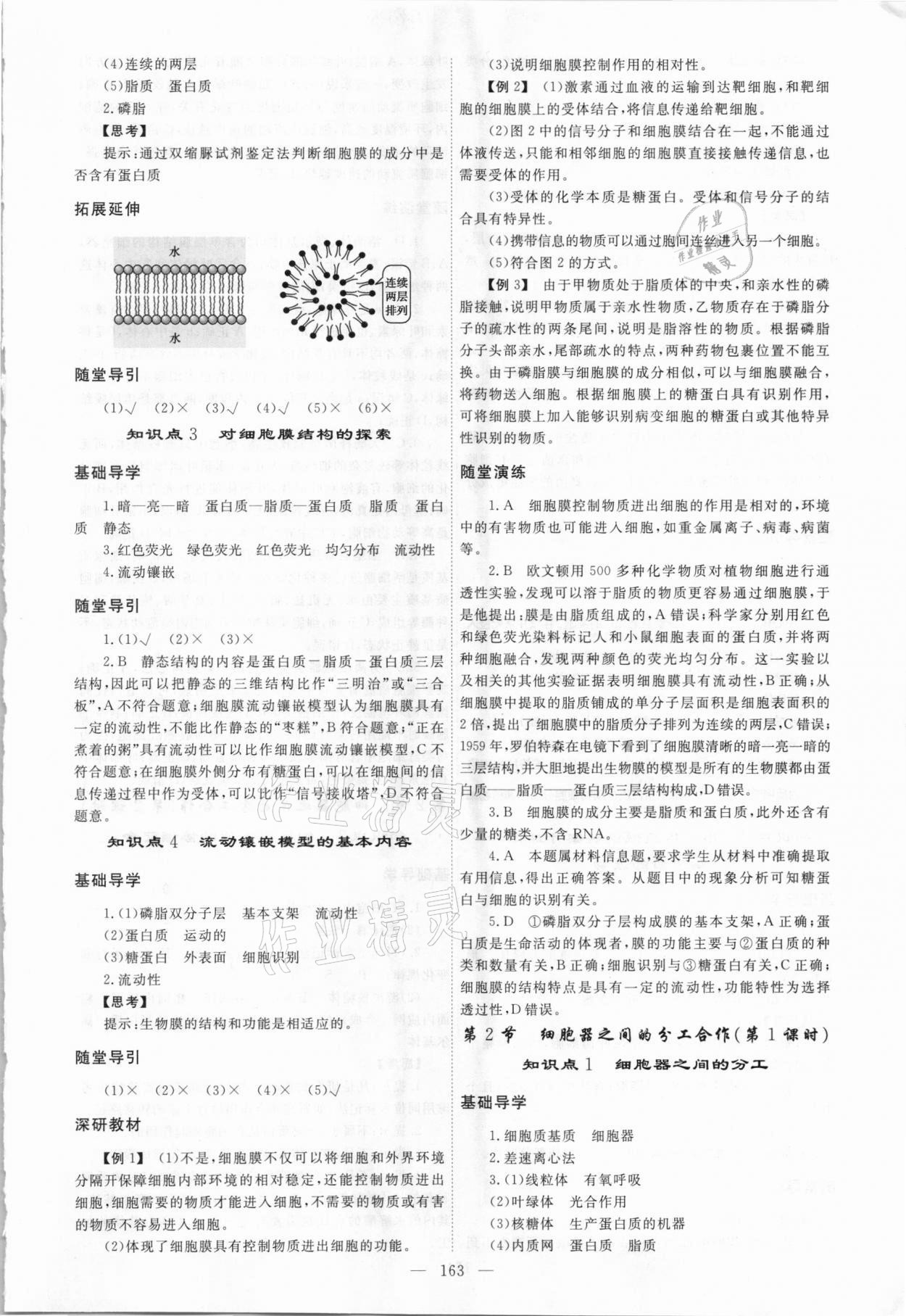 2020年同步導(dǎo)練高中生物必修1人教版 參考答案第7頁