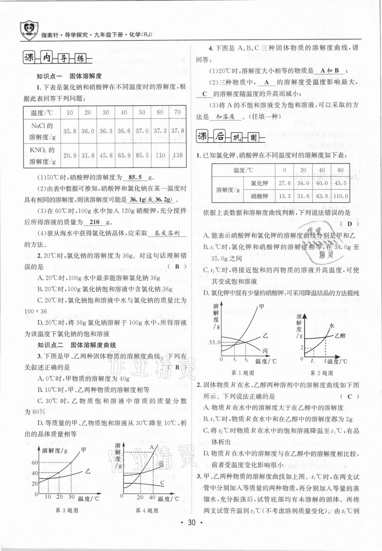 2021年指南针导学探究九年级化学下册人教版 第30页