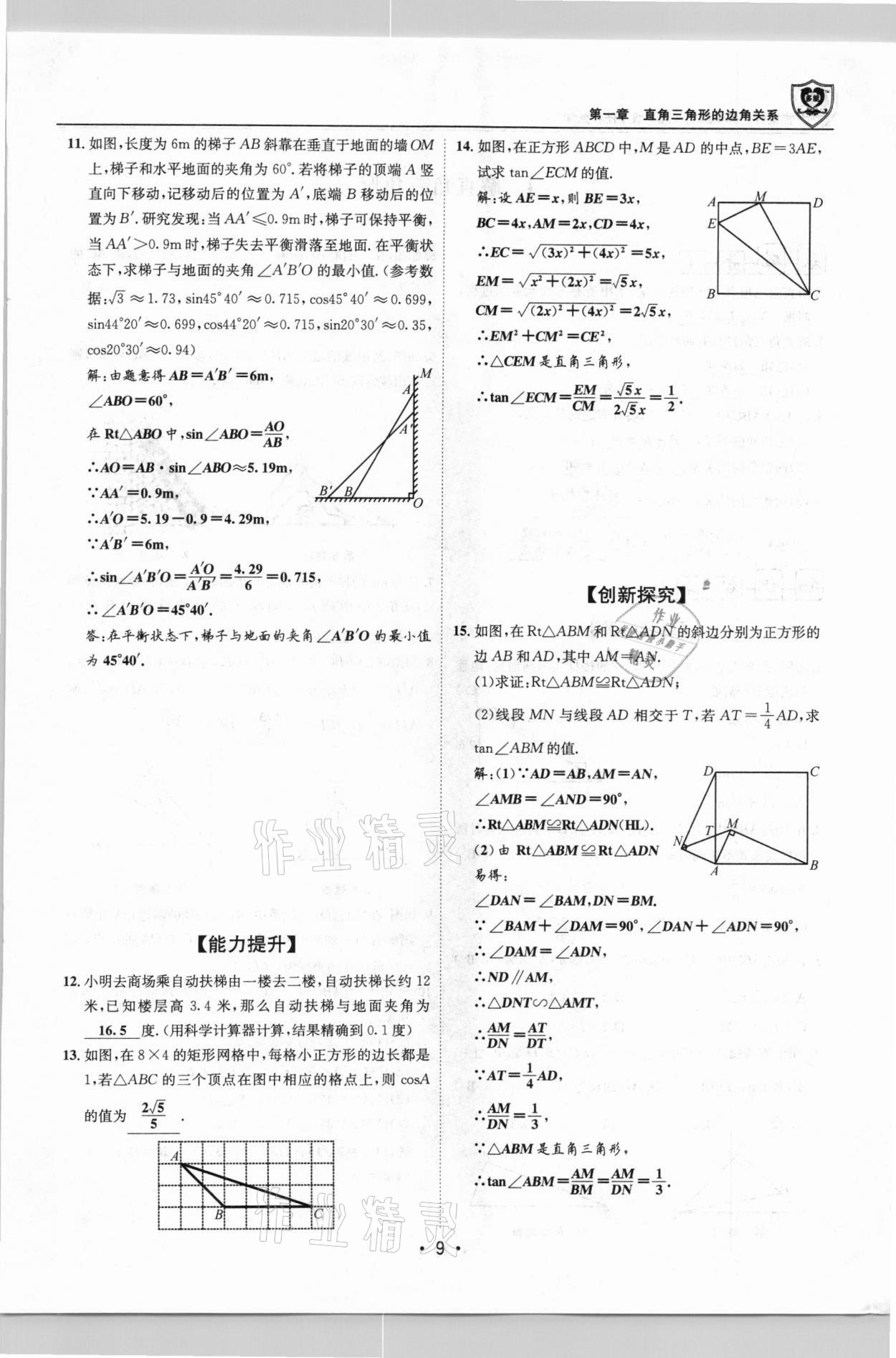 2021年指南針導(dǎo)學(xué)探究九年級(jí)數(shù)學(xué)下冊北師大版 第8頁