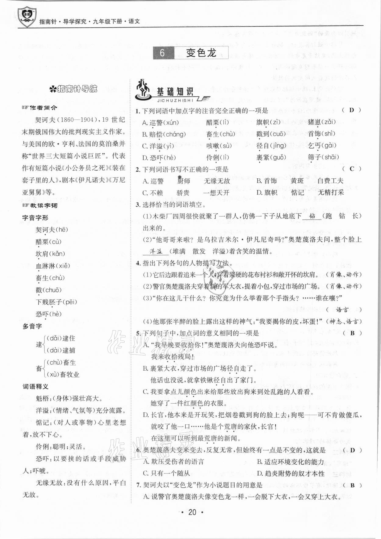 2021年指南針導(dǎo)學(xué)探究九年級語文下冊人教版 第20頁