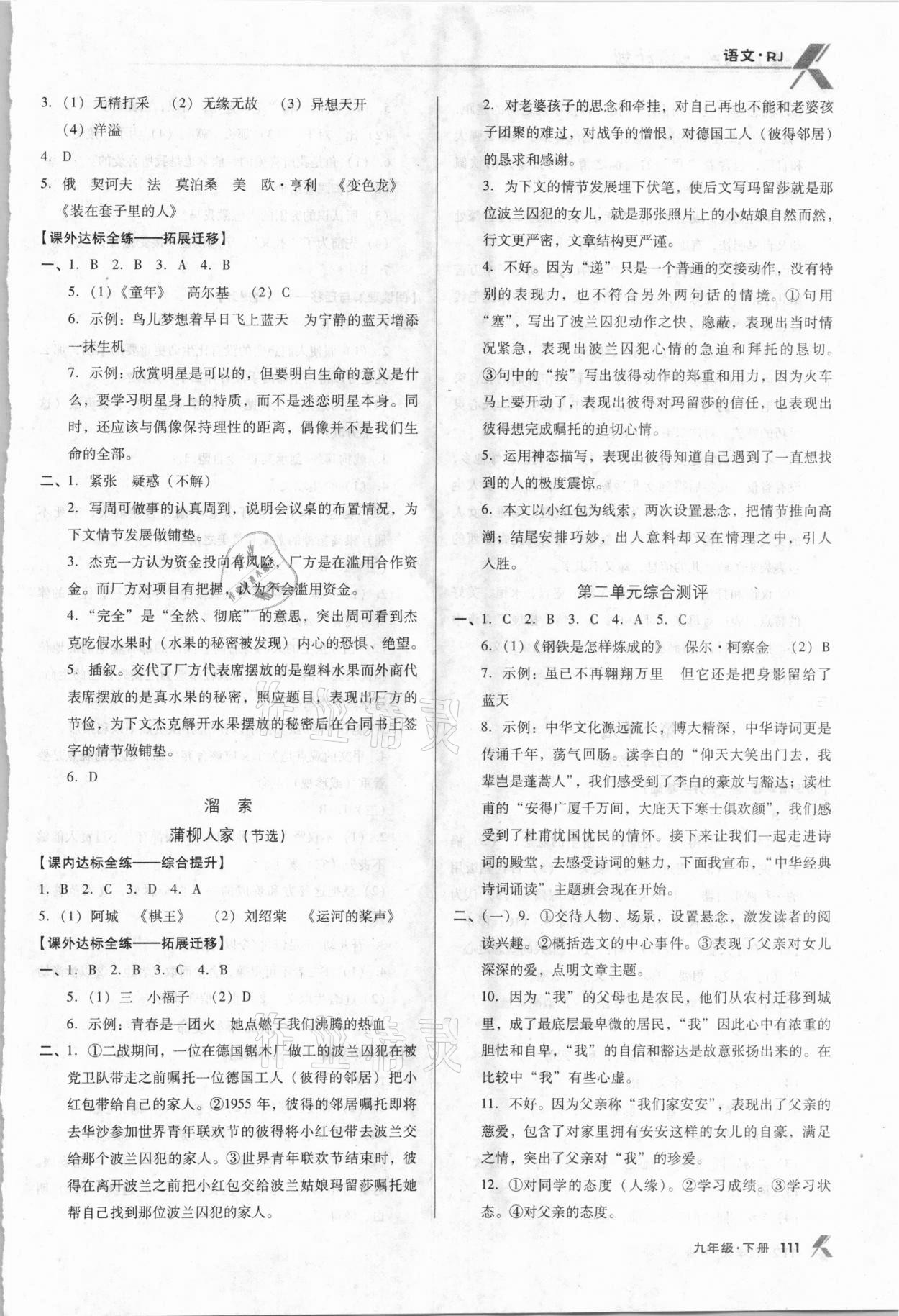 2021年全優(yōu)點(diǎn)練課計(jì)劃九年級語文下冊人教版 參考答案第3頁