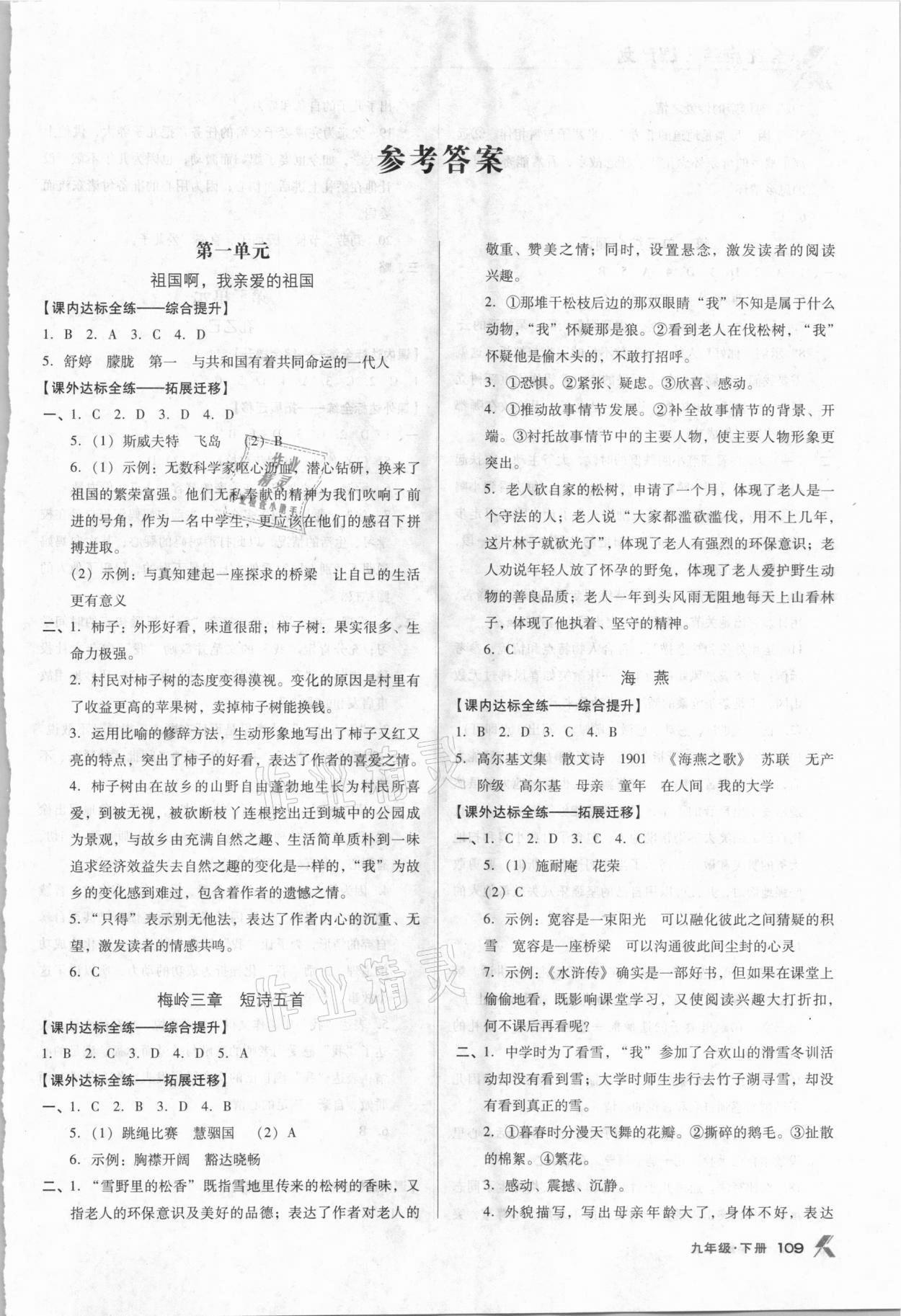 2021年全優(yōu)點(diǎn)練課計(jì)劃九年級(jí)語文下冊人教版 參考答案第1頁