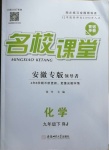 2021年名校課堂九年級化學(xué)下冊人教版安徽專版