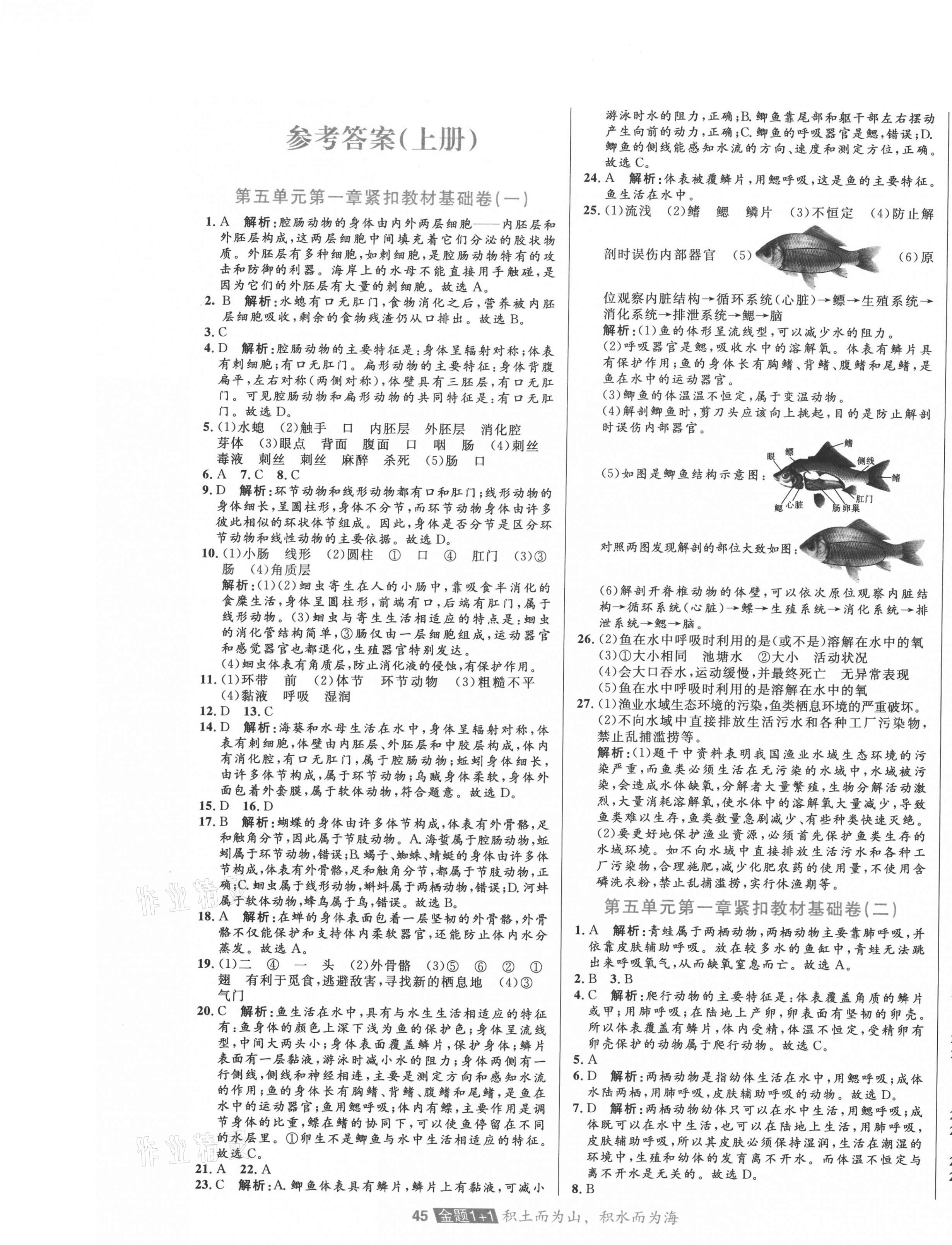 2020年中大英才金題1加1八年級(jí)生物上下合訂人教版 第1頁(yè)