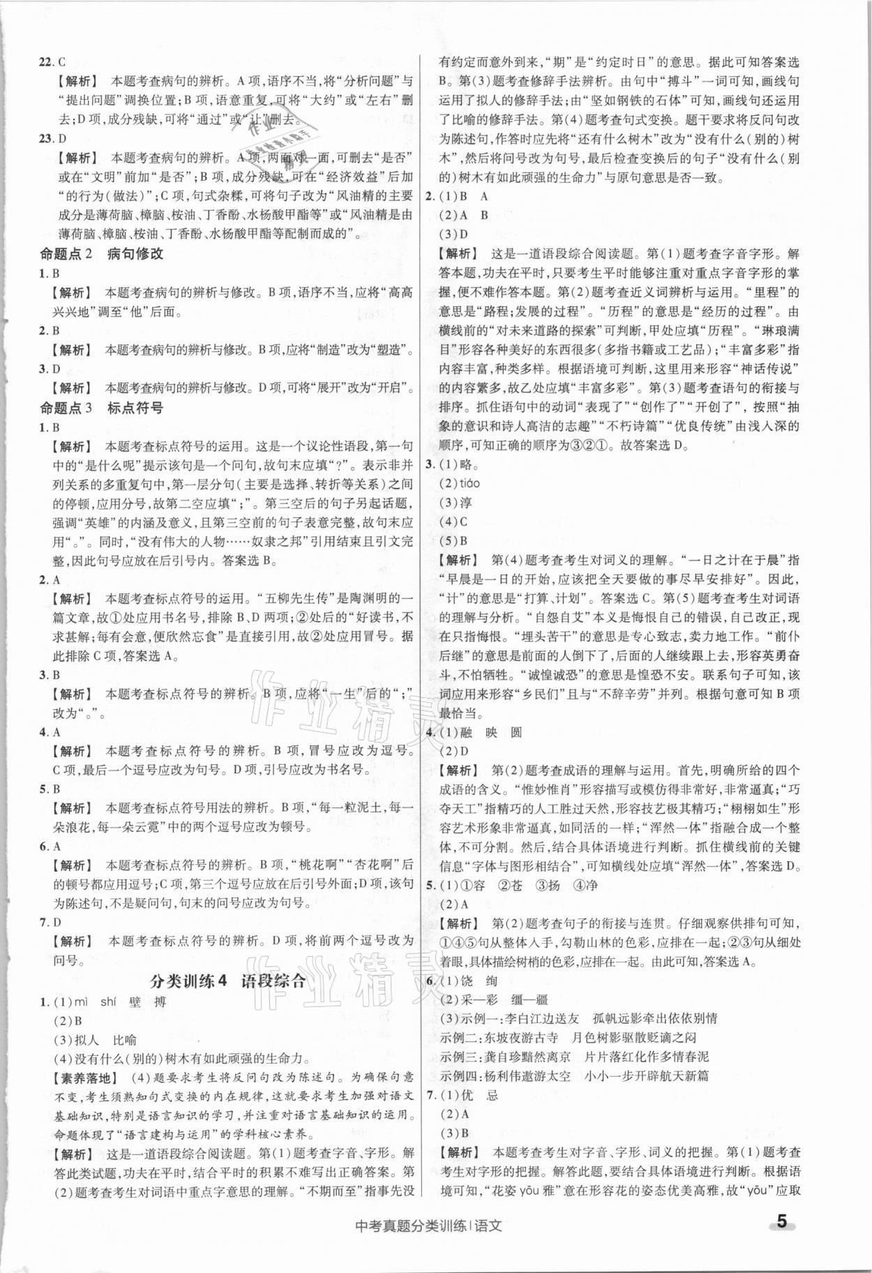 2021年金考卷中考真题分类训练语文 参考答案第5页