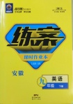 2021年練案課時作業(yè)本九年級英語下冊人教版安徽專版