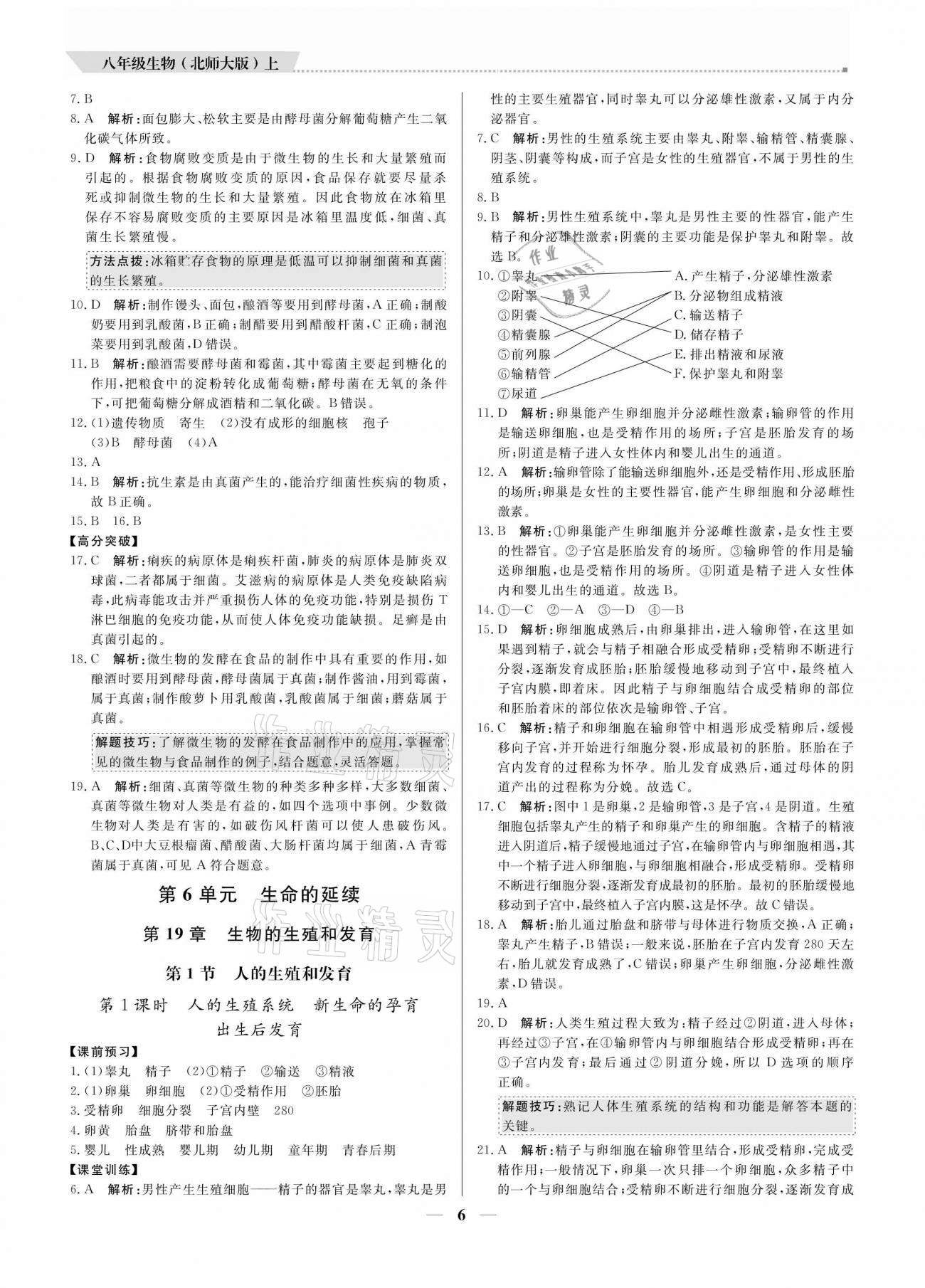 2020年培優(yōu)A計劃八年級生物上冊北師大版 參考答案第6頁