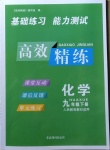 2021年高效精練九年級化學(xué)下冊人教版