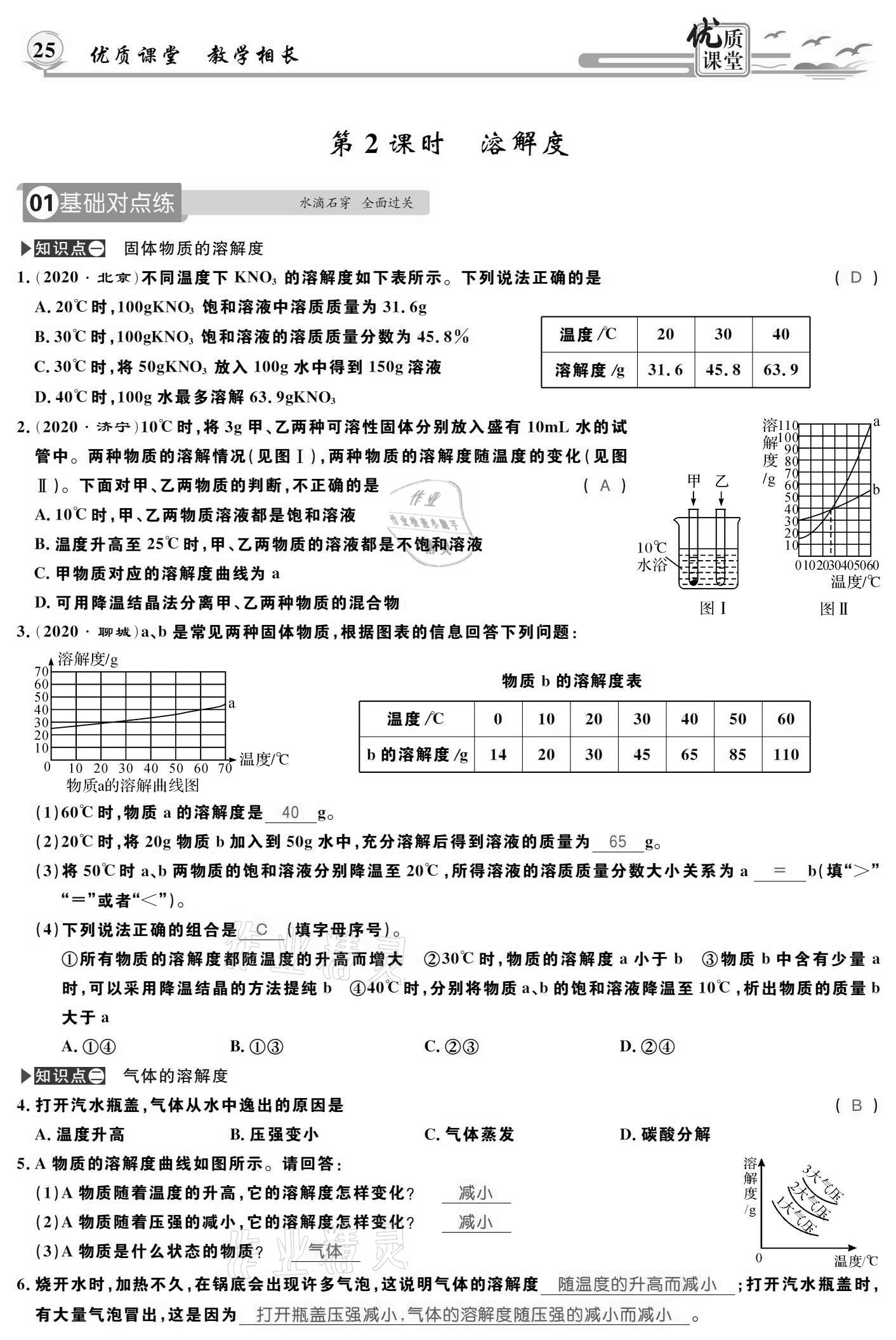 2021年優(yōu)質(zhì)課堂導(dǎo)學(xué)案九年級化學(xué)下冊人教版 參考答案第25頁