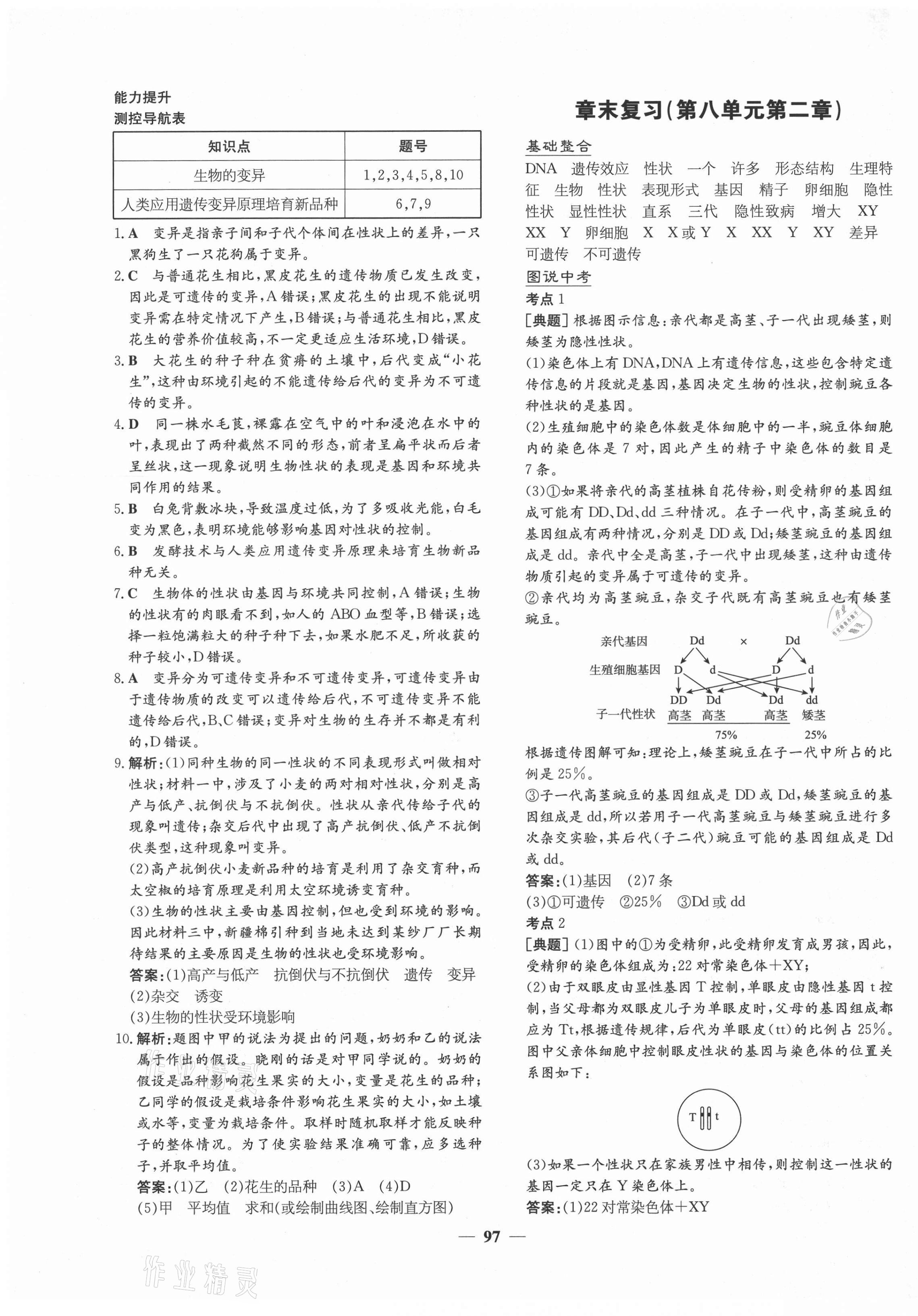 2021年練案課時訓(xùn)練案八年級生物下冊魯科版54制 第9頁