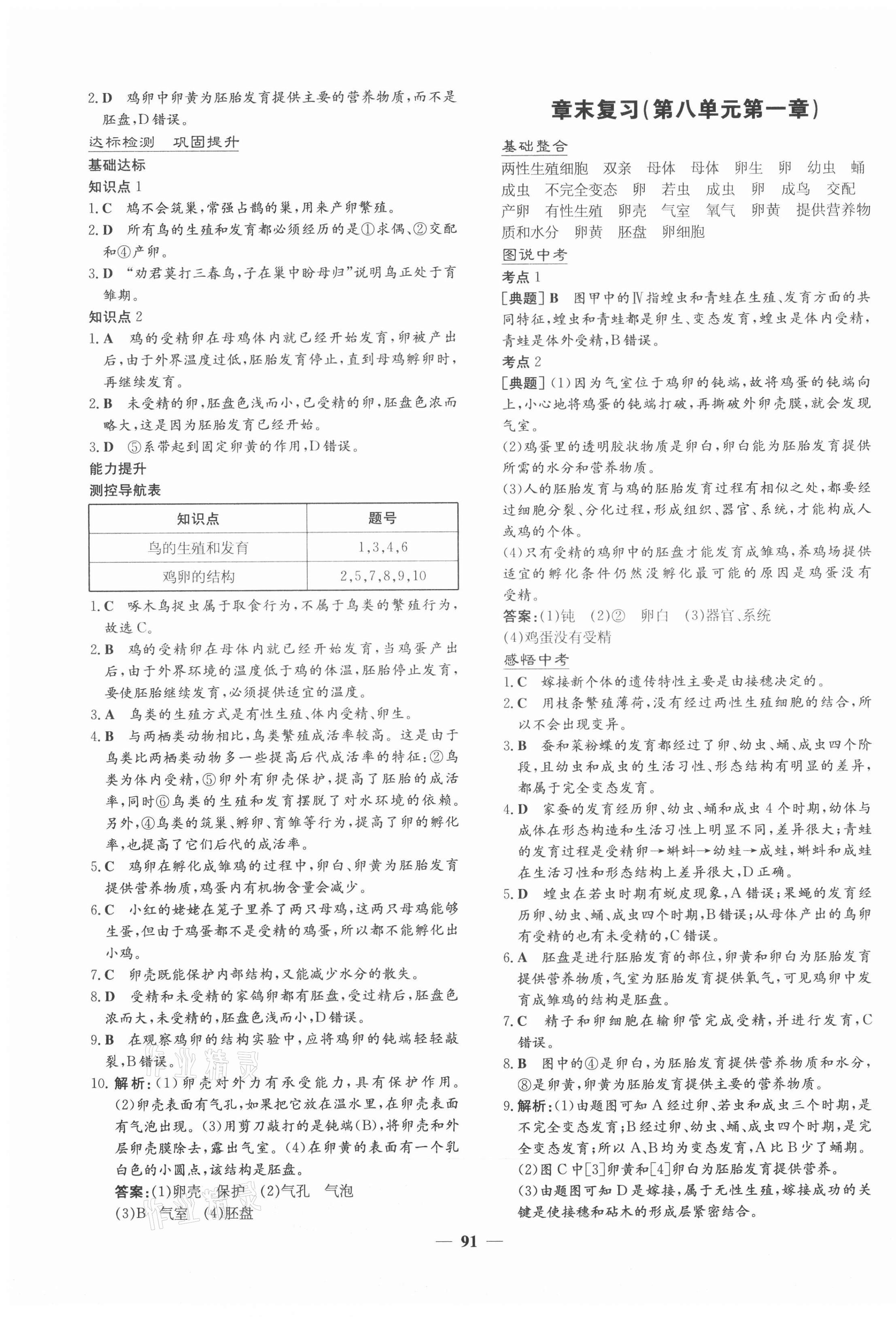 2021年練案課時(shí)訓(xùn)練案八年級(jí)生物下冊(cè)魯科版54制 第3頁