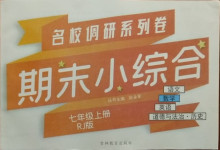 2020年名校調(diào)研系列卷期末小綜合七年級數(shù)學(xué)上冊人教版