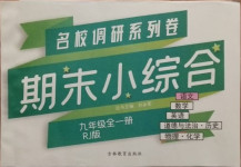 2020年名校调研系列卷期末小综合九年级语文全一册人教版