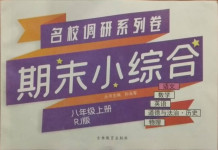 2020年名校調(diào)研系列卷期末小綜合八年級語文上冊人教版