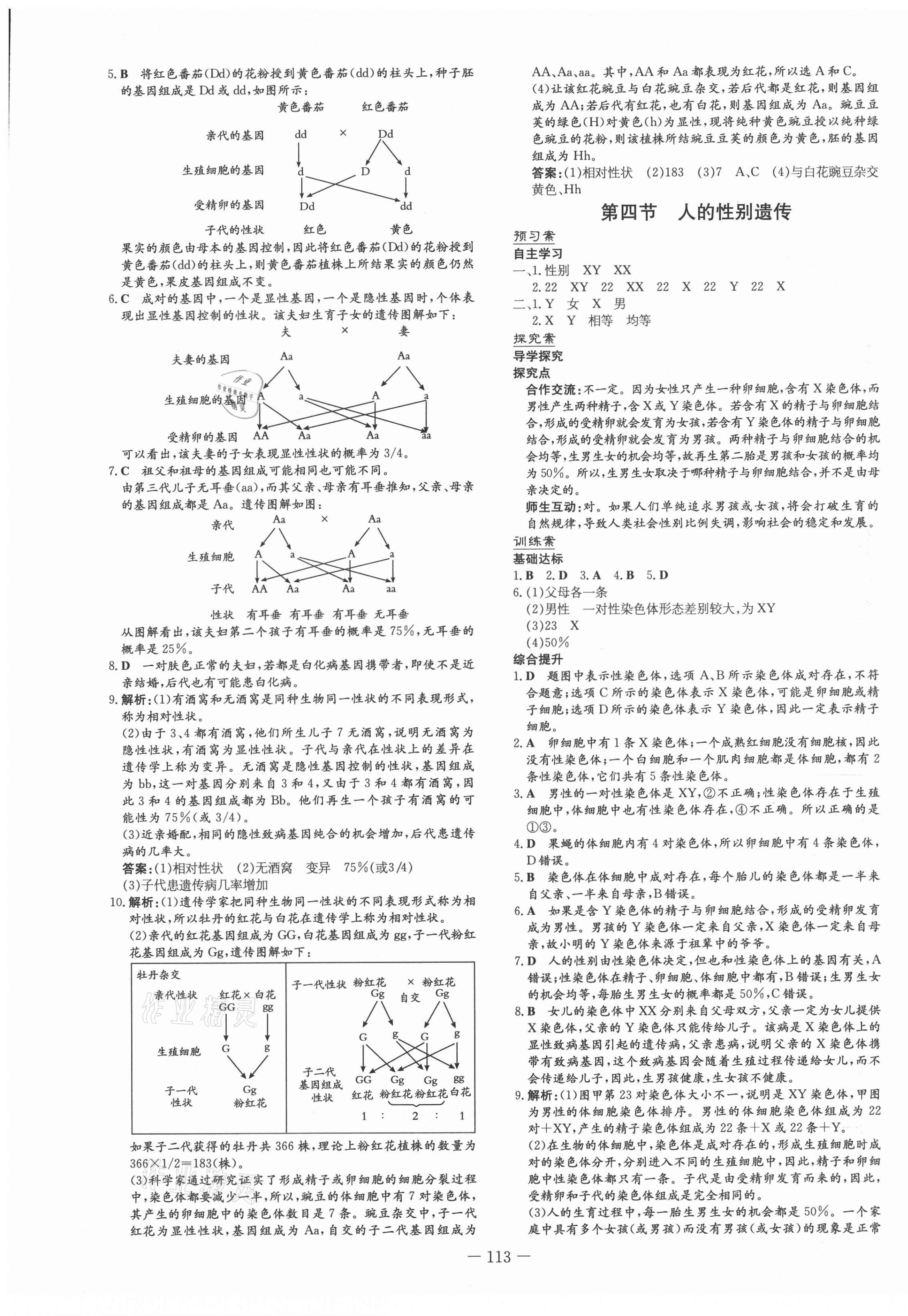 2021年初中同步学习导与练导学探究案八年级生物下册人教版 第5页