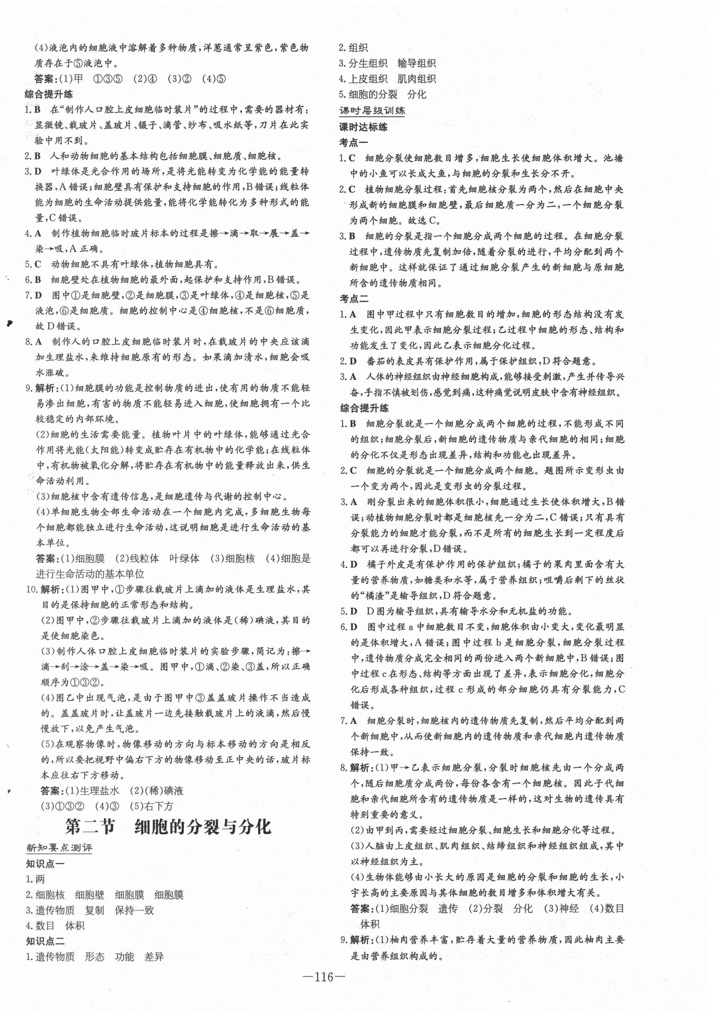 2020年練案課時(shí)作業(yè)本七年級(jí)生物上冊(cè)濟(jì)南版 第4頁