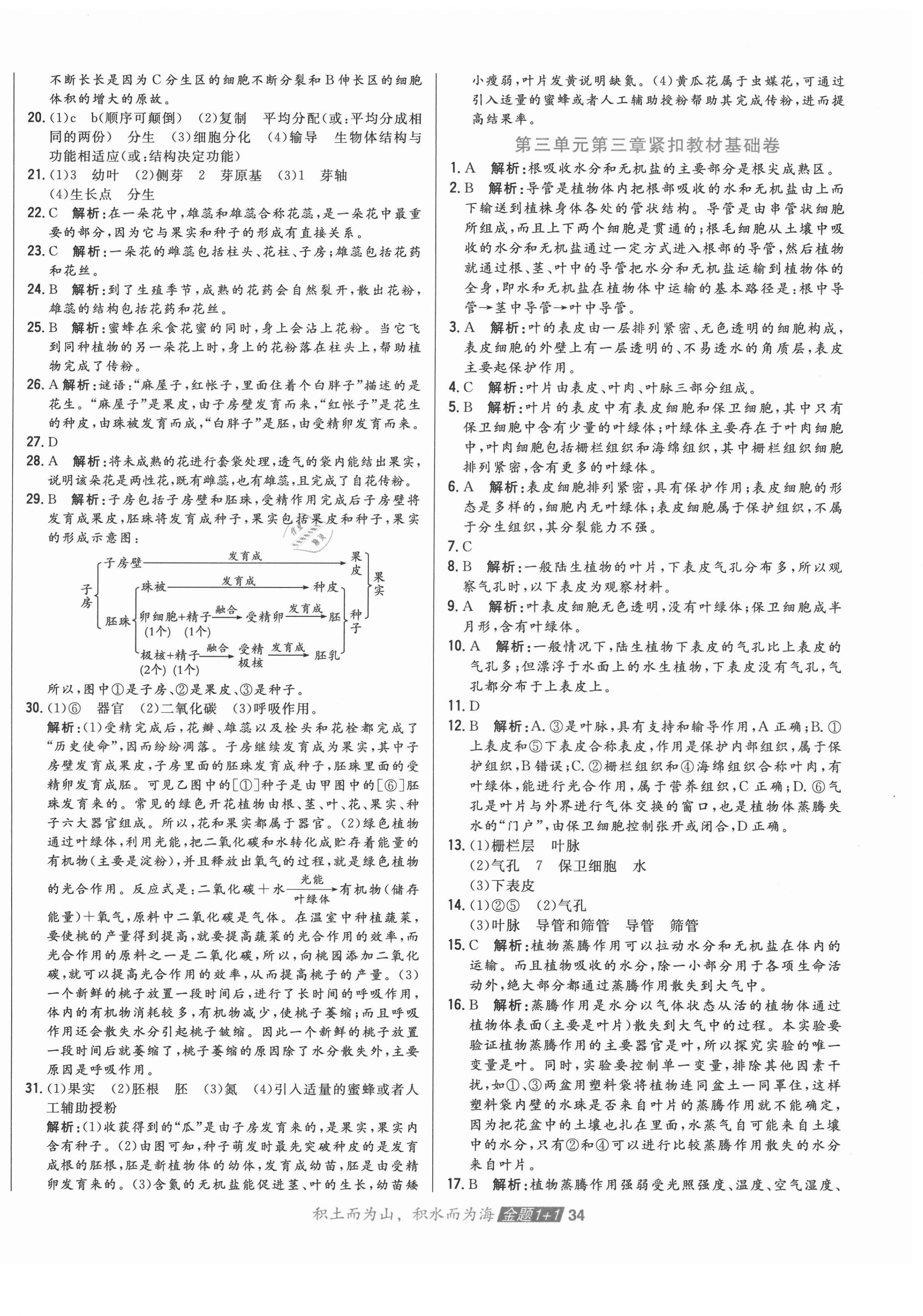 2020年中大英才金題1加1七年級(jí)生物上冊(cè)人教版 第6頁(yè)