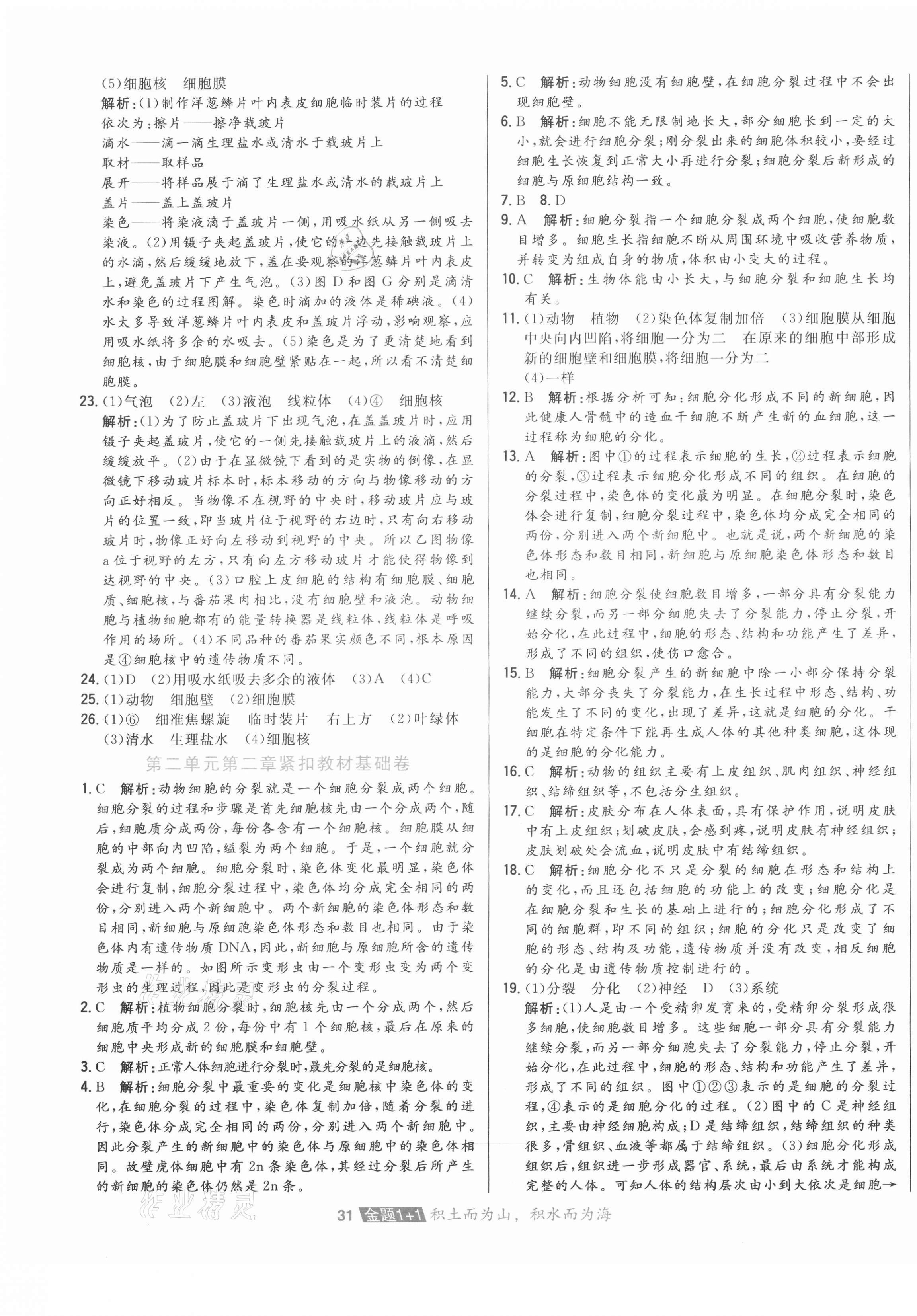 2020年中大英才金題1加1七年級生物上冊人教版 第3頁