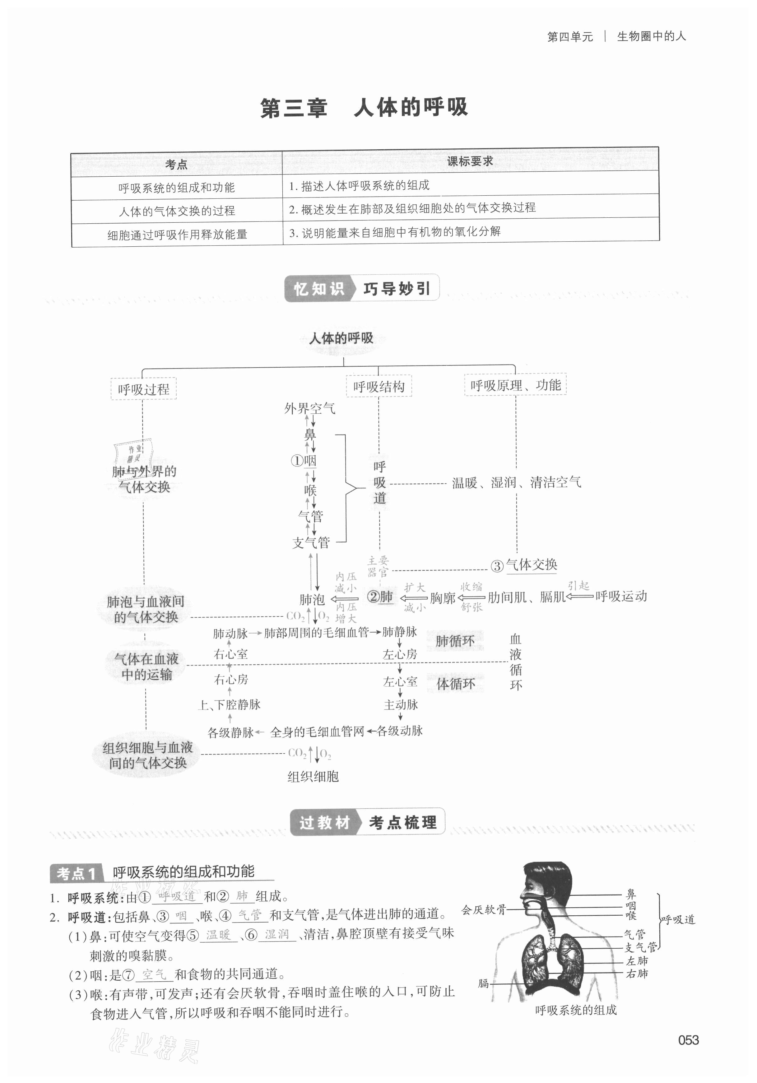 2021年中考狀元生物 第53頁