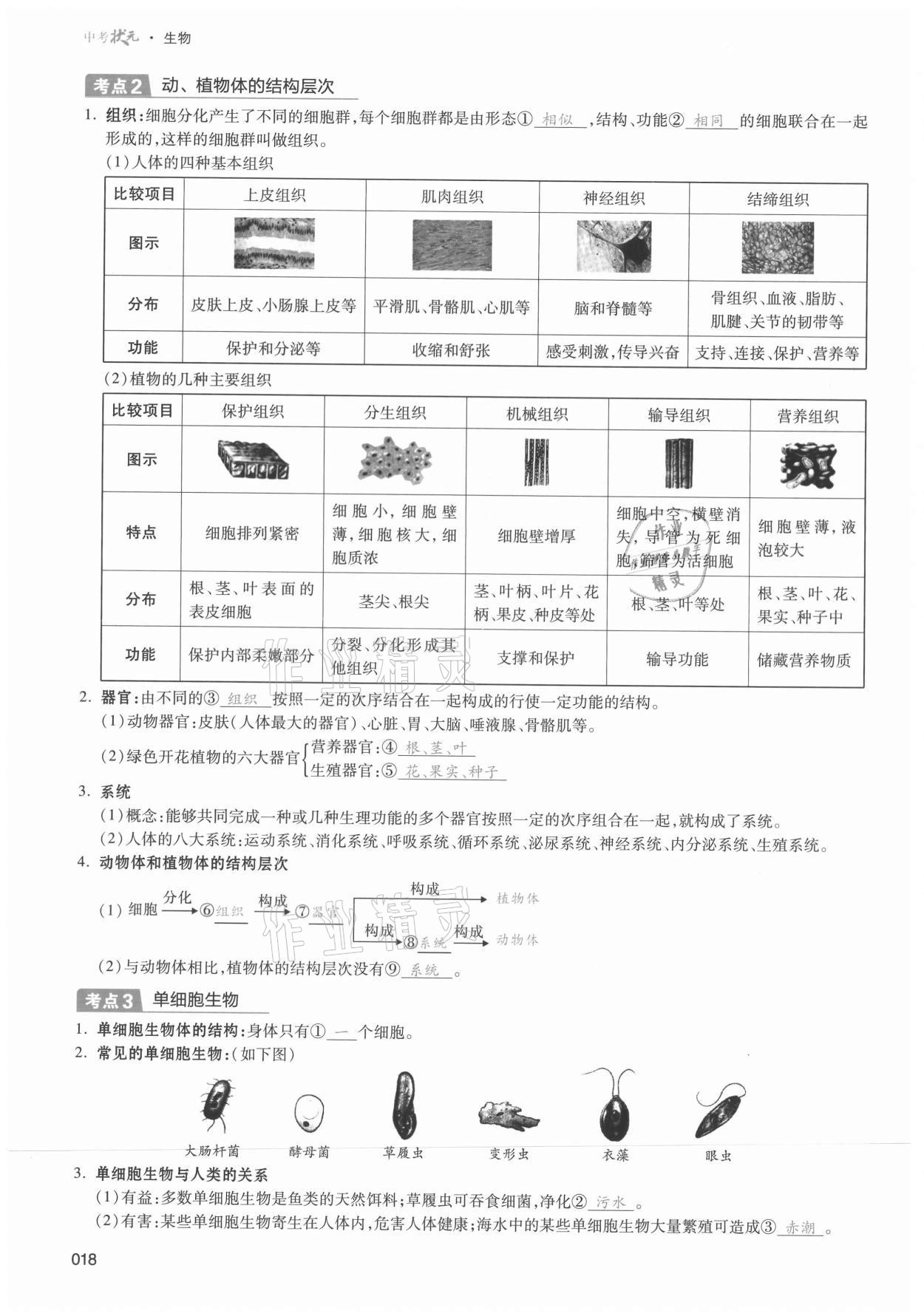 2021年中考狀元生物 第18頁