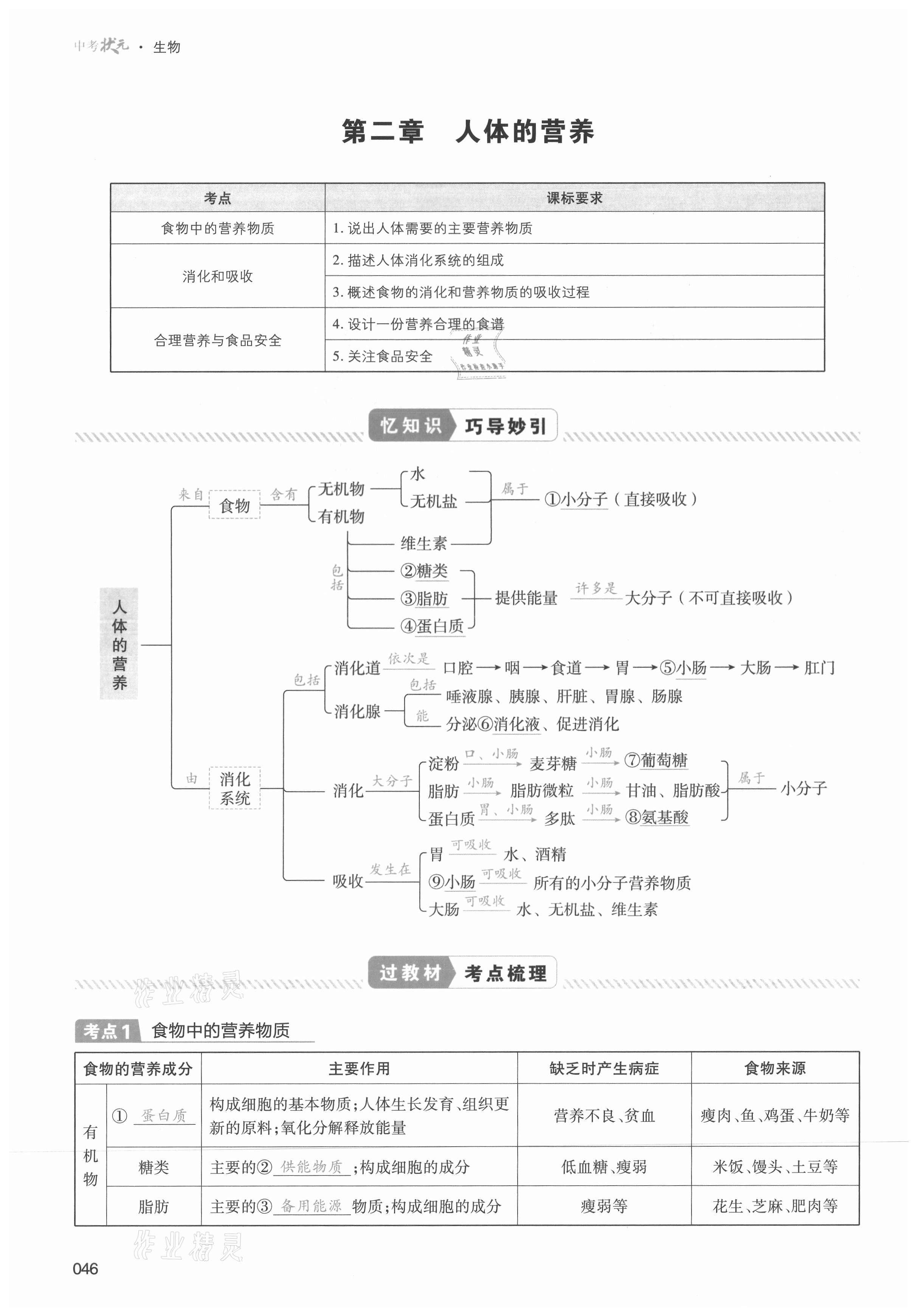 2021年中考狀元生物 第46頁