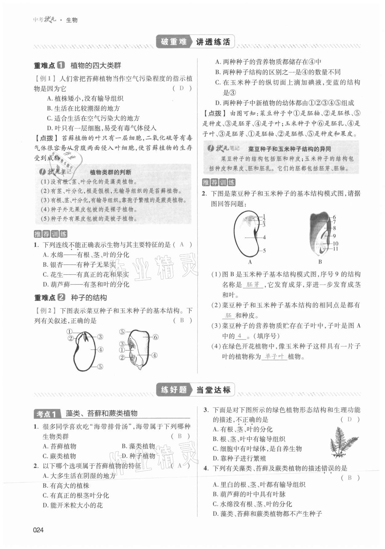 2021年中考狀元生物 第24頁