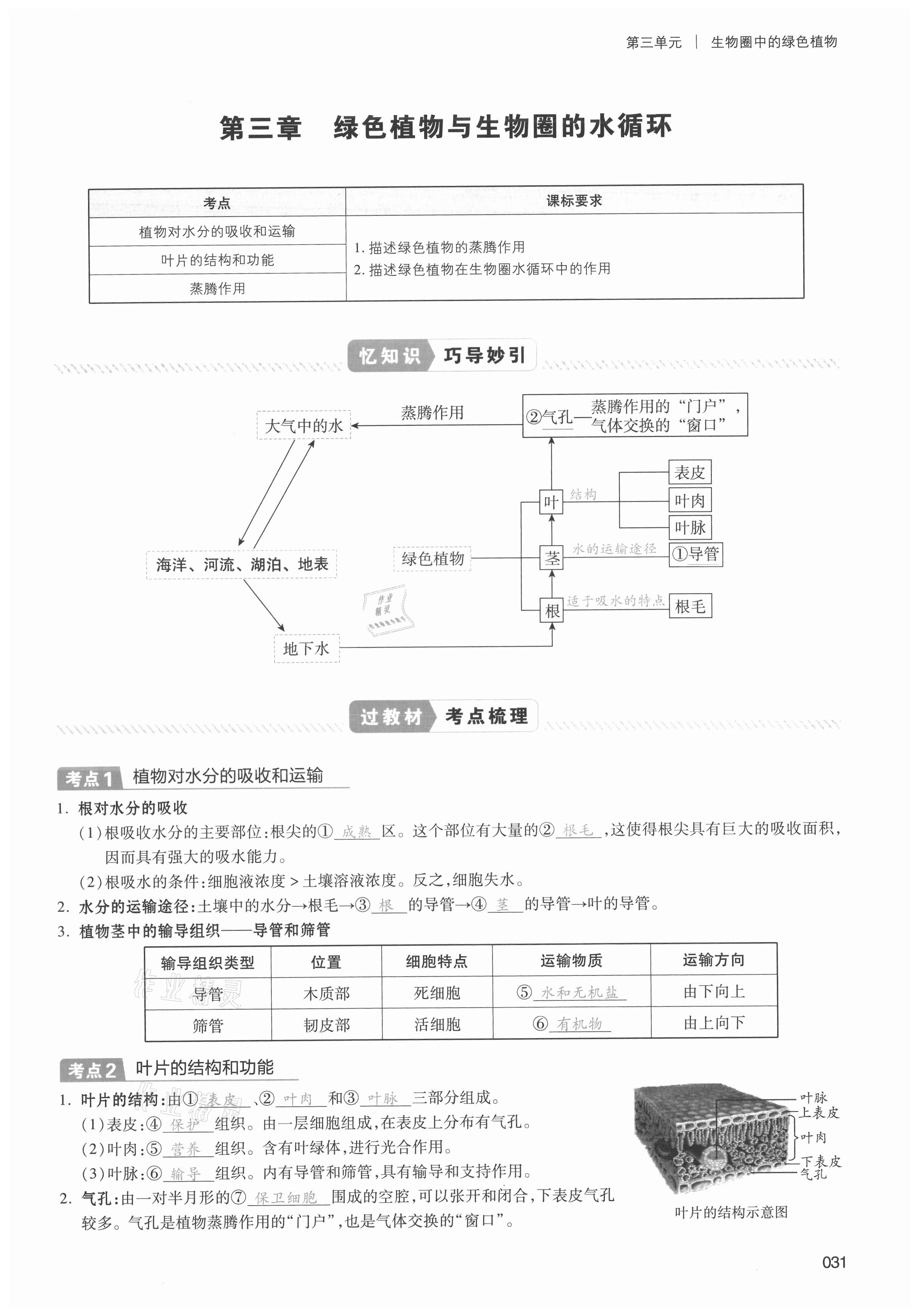 2021年中考状元生物 第31页