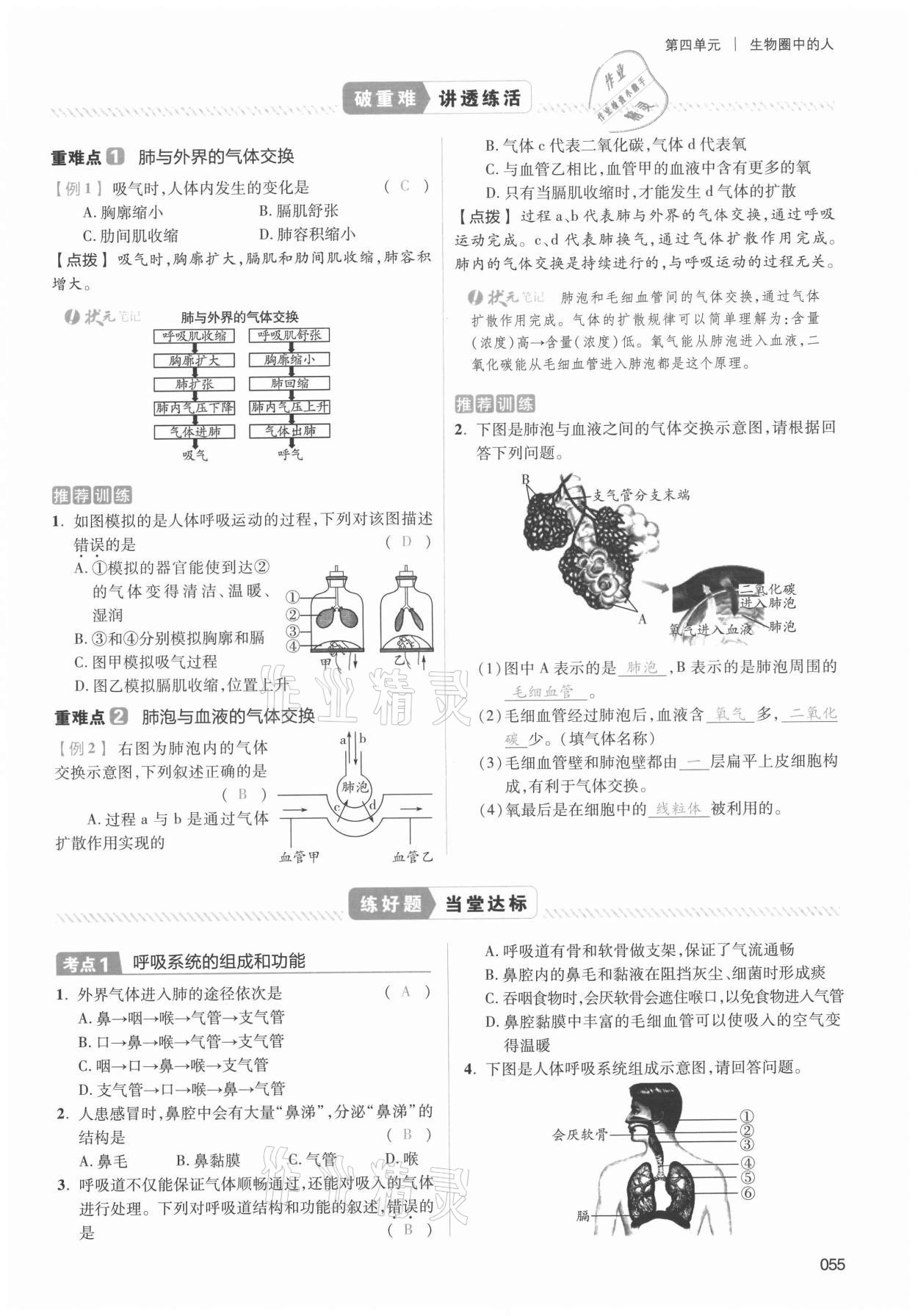 2021年中考狀元生物 第55頁