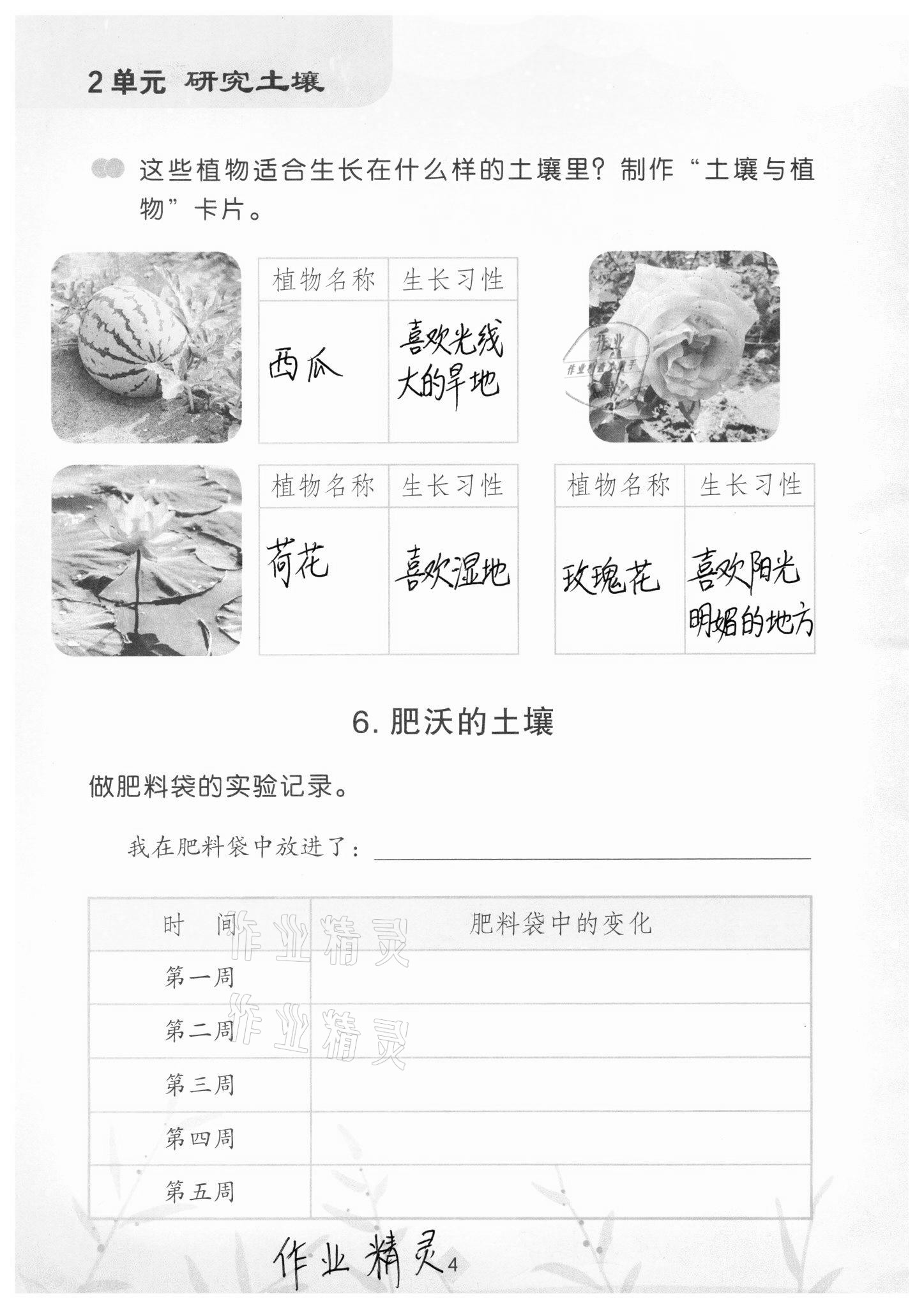 2020年學(xué)生活動(dòng)手冊(cè)三年級(jí)科學(xué)上冊(cè)蘇教版江蘇鳳凰教育出版社 參考答案第4頁(yè)