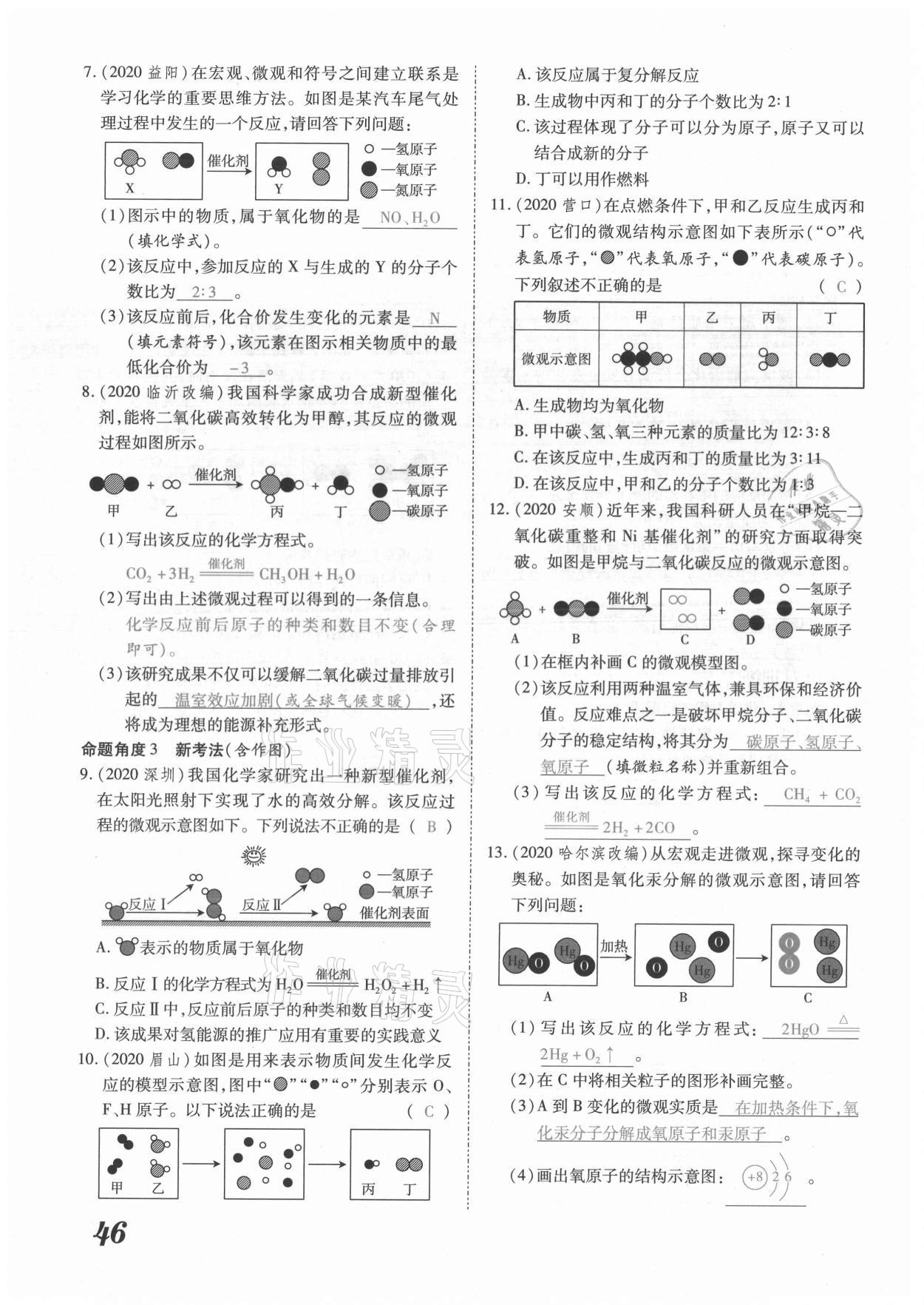 2021年領(lǐng)跑中考化學(xué)河南專版 參考答案第46頁