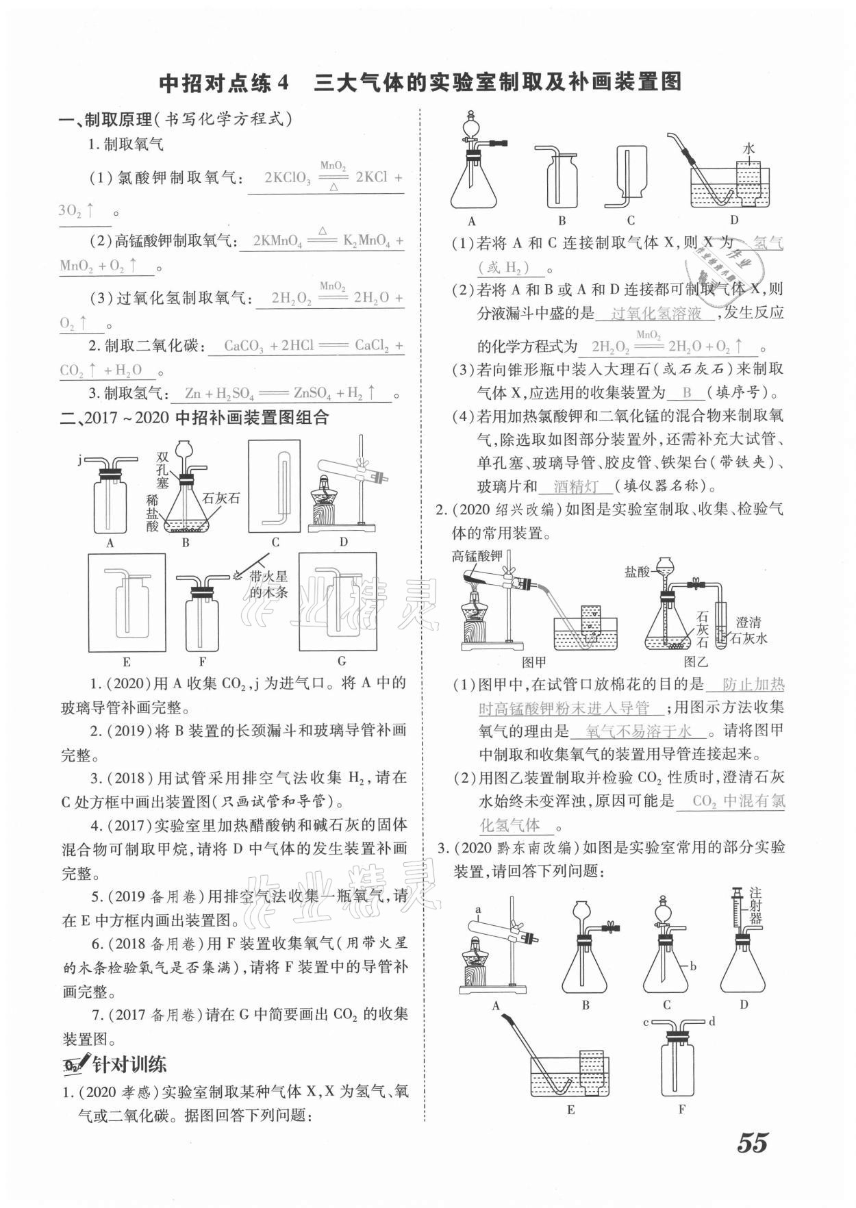 2021年領(lǐng)跑中考化學(xué)河南專版 參考答案第55頁