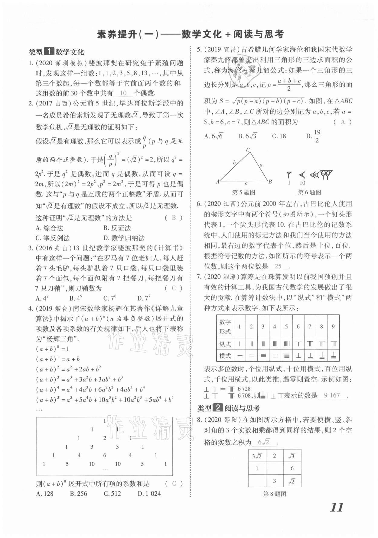 2021年領(lǐng)跑中考數(shù)學河南專版 第11頁