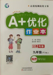 2021年A加優(yōu)化作業(yè)本九年級(jí)物理下冊(cè)教科版江西專版