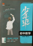 2021年少年班九年級數學下冊人教版