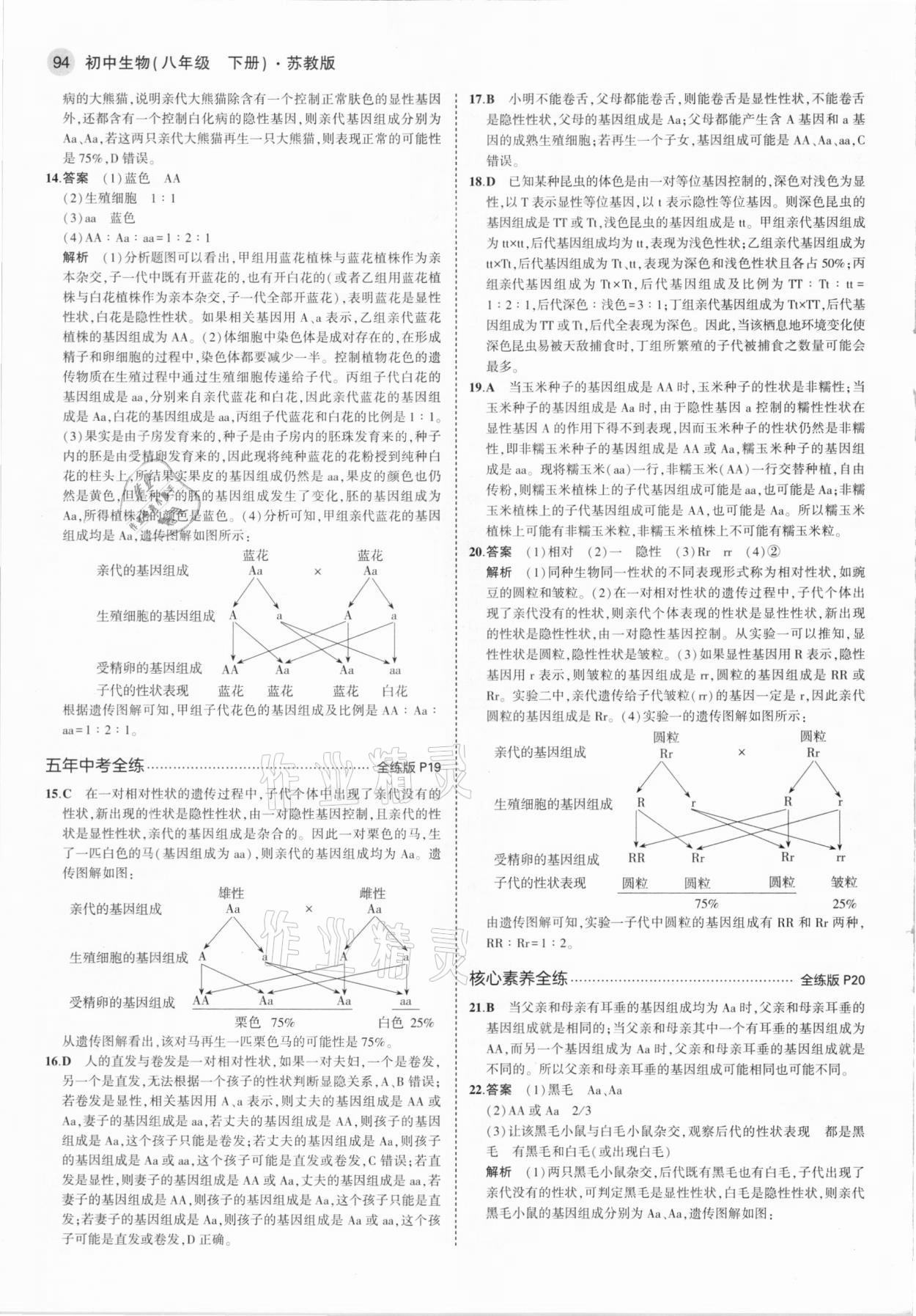 2021年5年中考3年模拟八年级生物下册苏教版 参考答案第8页