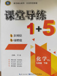 2021年課堂導(dǎo)練1加5九年級(jí)化學(xué)下冊人教版