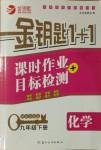 2021年金鑰匙1加1課時(shí)作業(yè)目標(biāo)檢測(cè)九年級(jí)化學(xué)下冊(cè)全國版